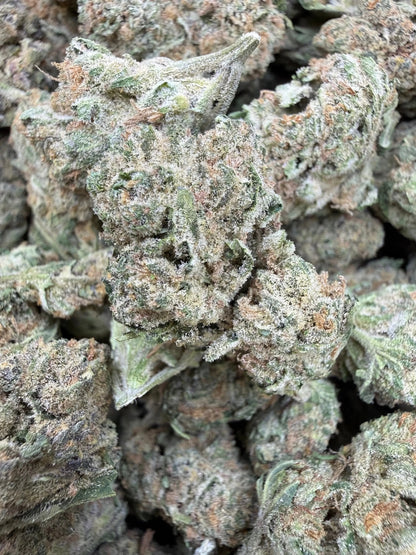 1 Pound - Banana Chocolope THCA Strain Frisco Labs