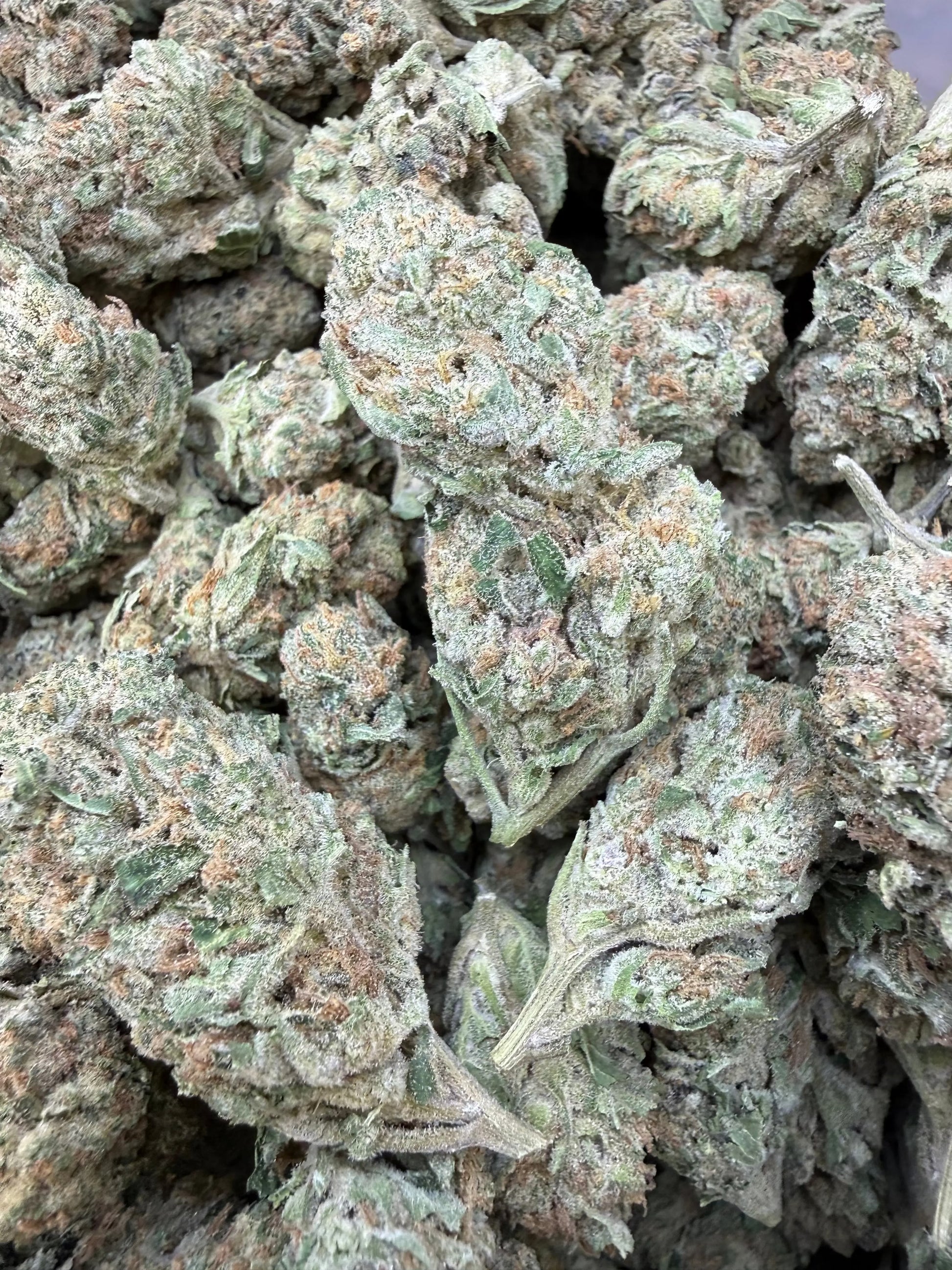 1 Pound - Banana Chocolope THCA Strain Frisco Labs