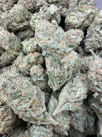 1 Pound - Banana Chocolope THCA Strain Frisco Labs