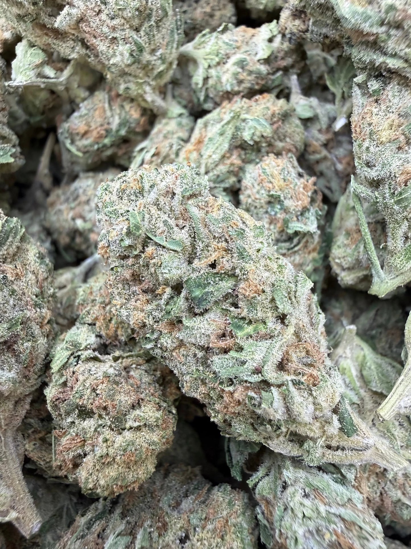 1 Pound - Banana Chocolope THCA Strain Frisco Labs