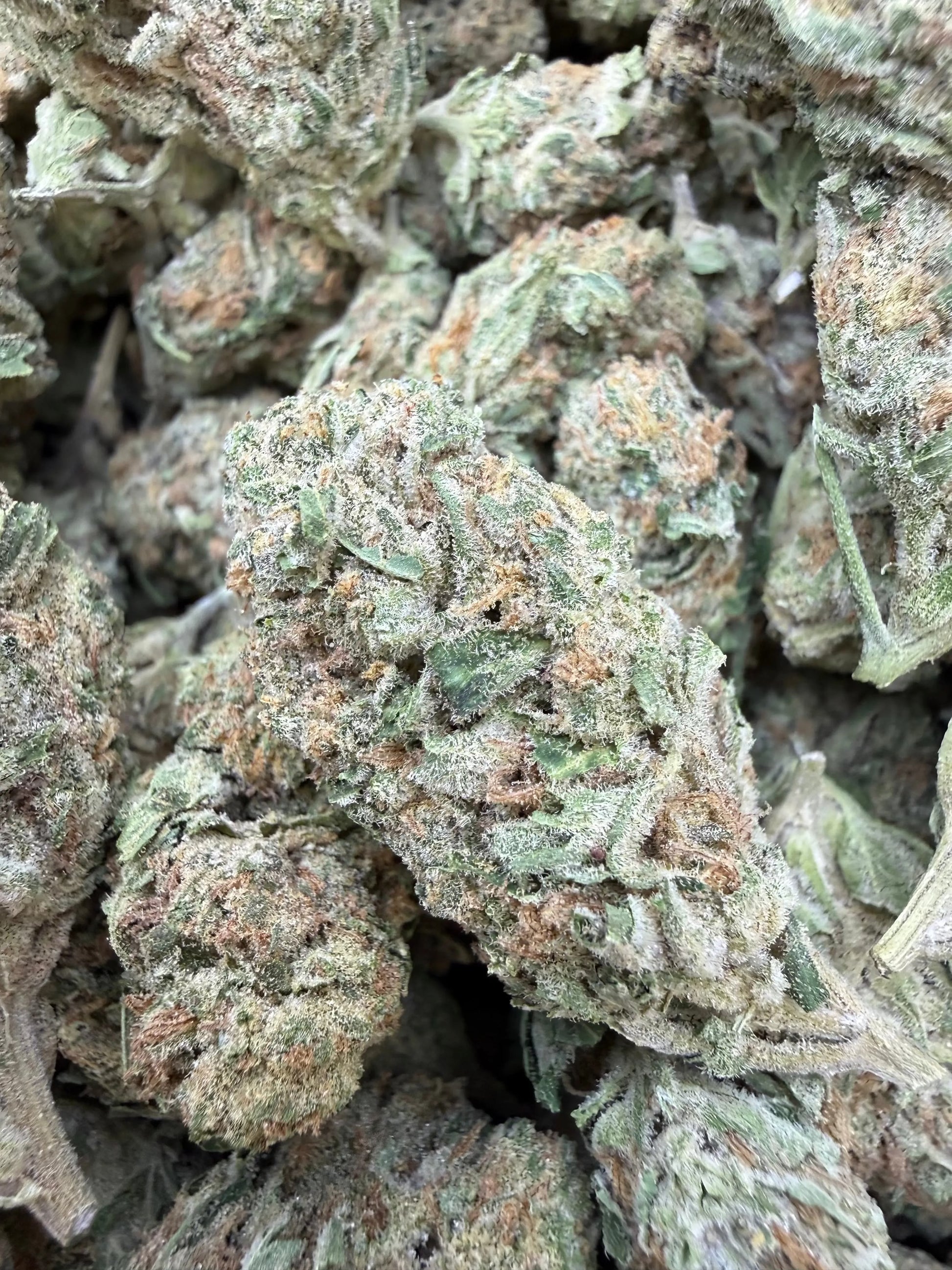 1 Pound - Banana Chocolope THCA Strain Frisco Labs