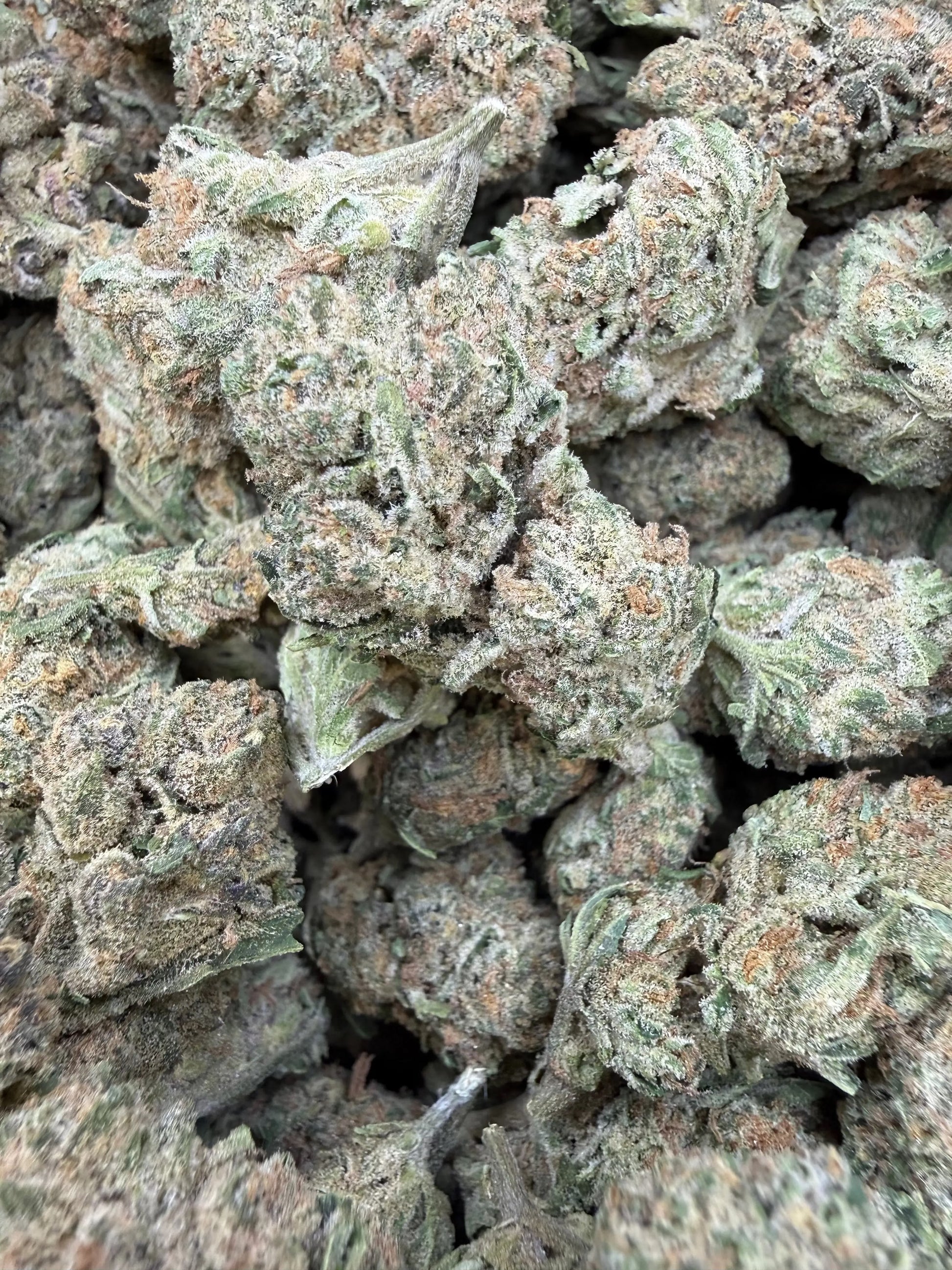 1 Pound - Banana Chocolope THCA Strain Frisco Labs