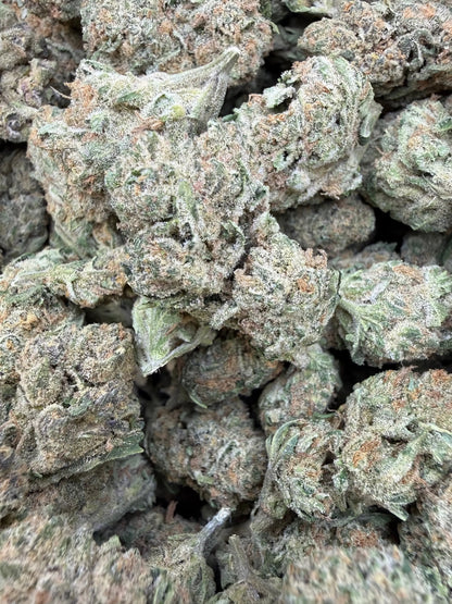 1 Pound - Banana Chocolope THCA Strain Frisco Labs