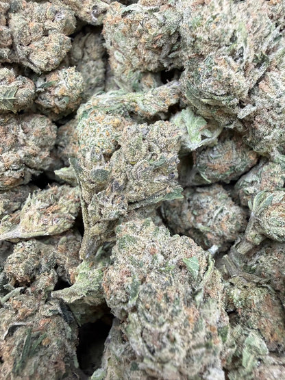 1 Pound - Banana Chocolope THCA Strain Frisco Labs