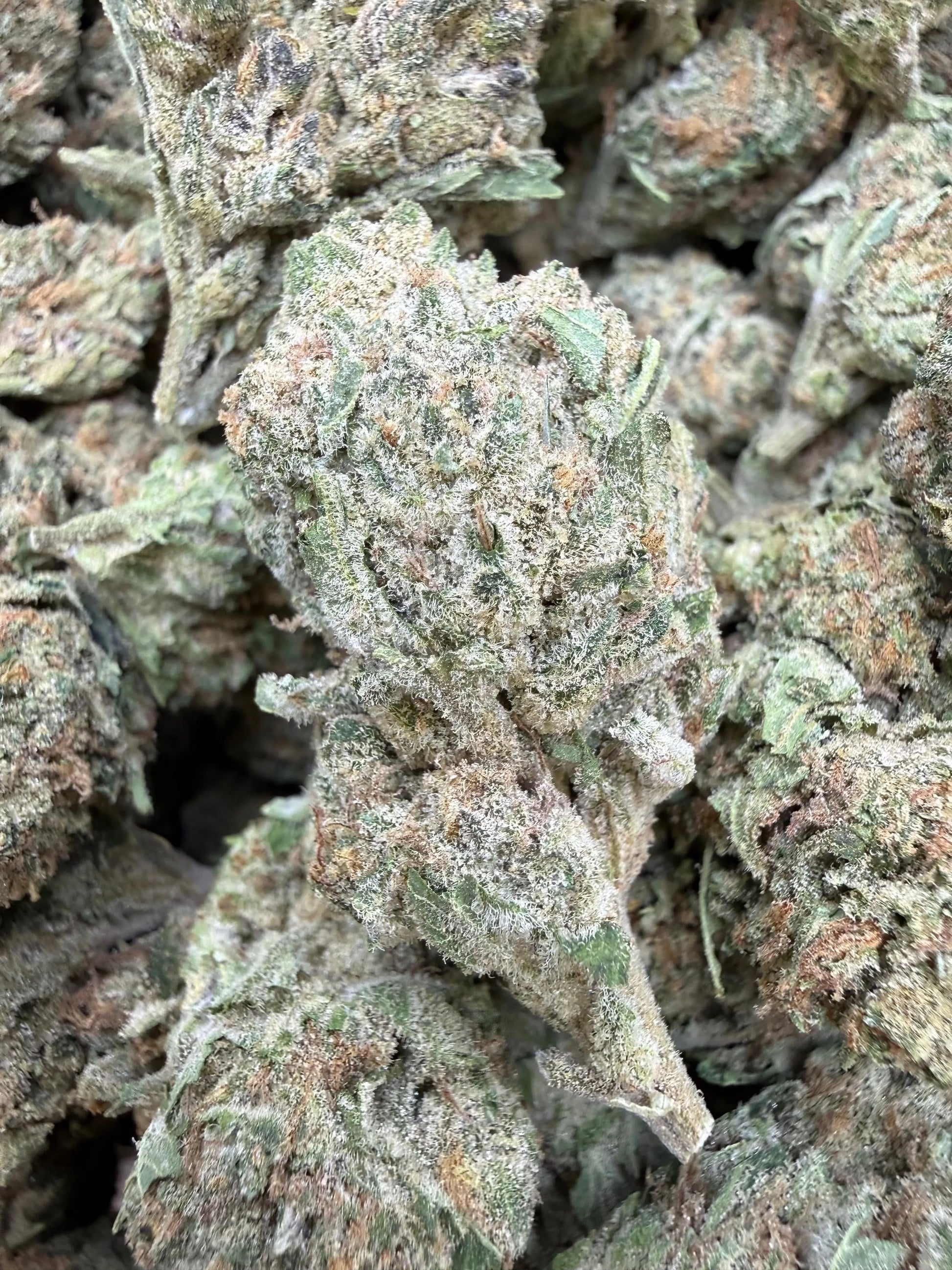 1 Pound - Banana Chocolope THCA Strain Frisco Labs