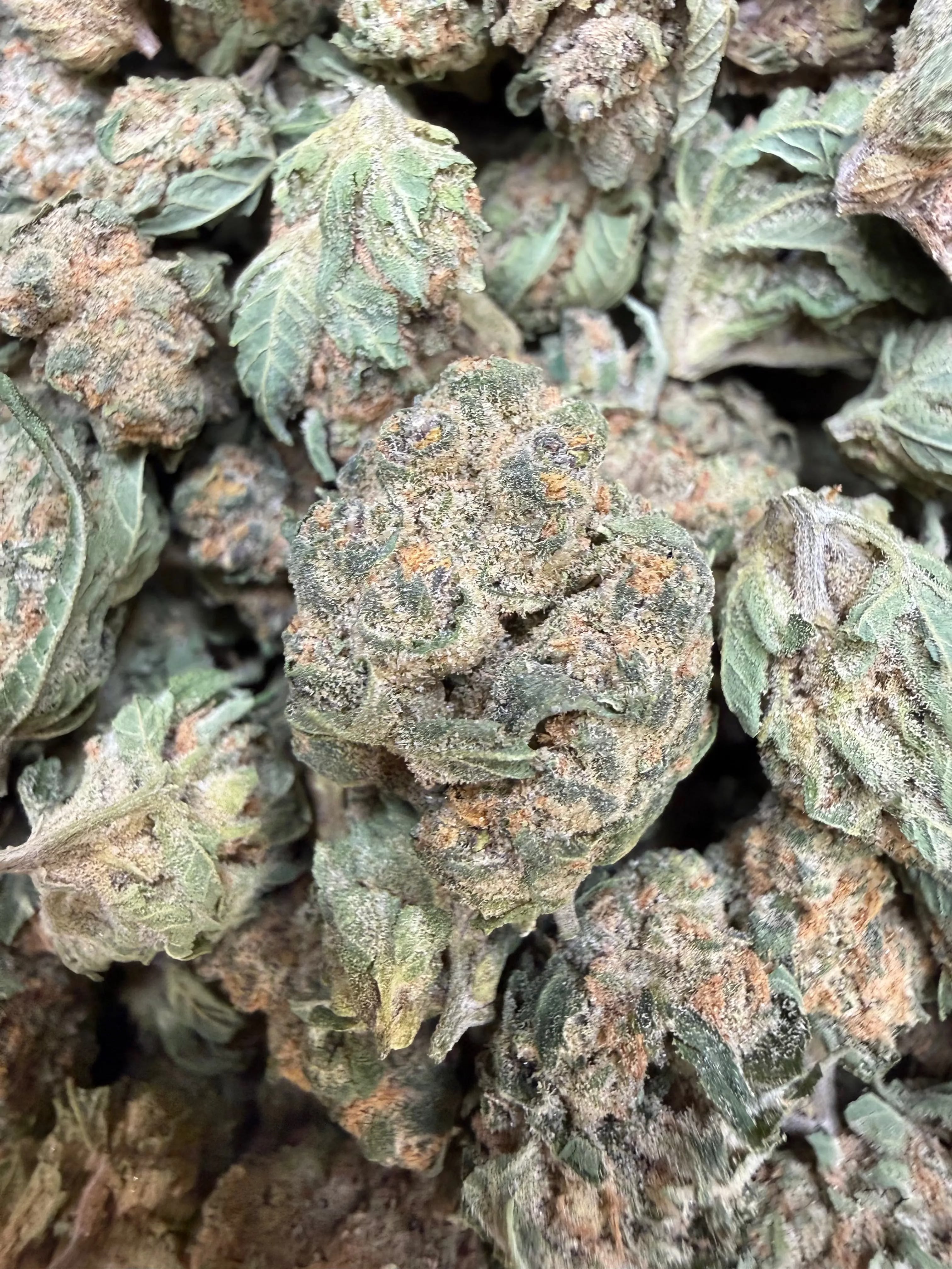 1 Pound Banana Chocolope THCA Smalls | Bulk THCA Flower | Frisco Labs ...