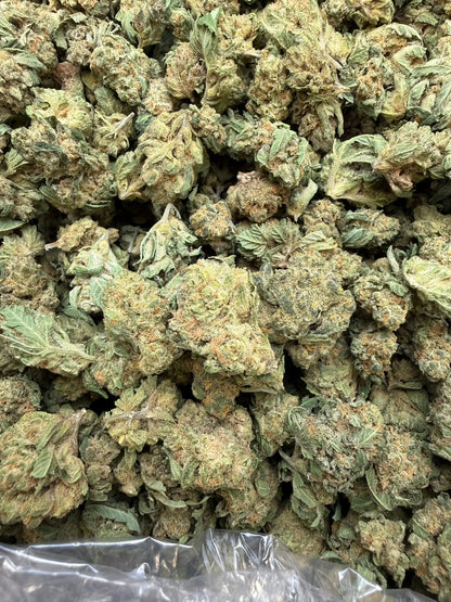 1 Pound - Banana Chocolope THCA Strain (Small) Frisco Labs