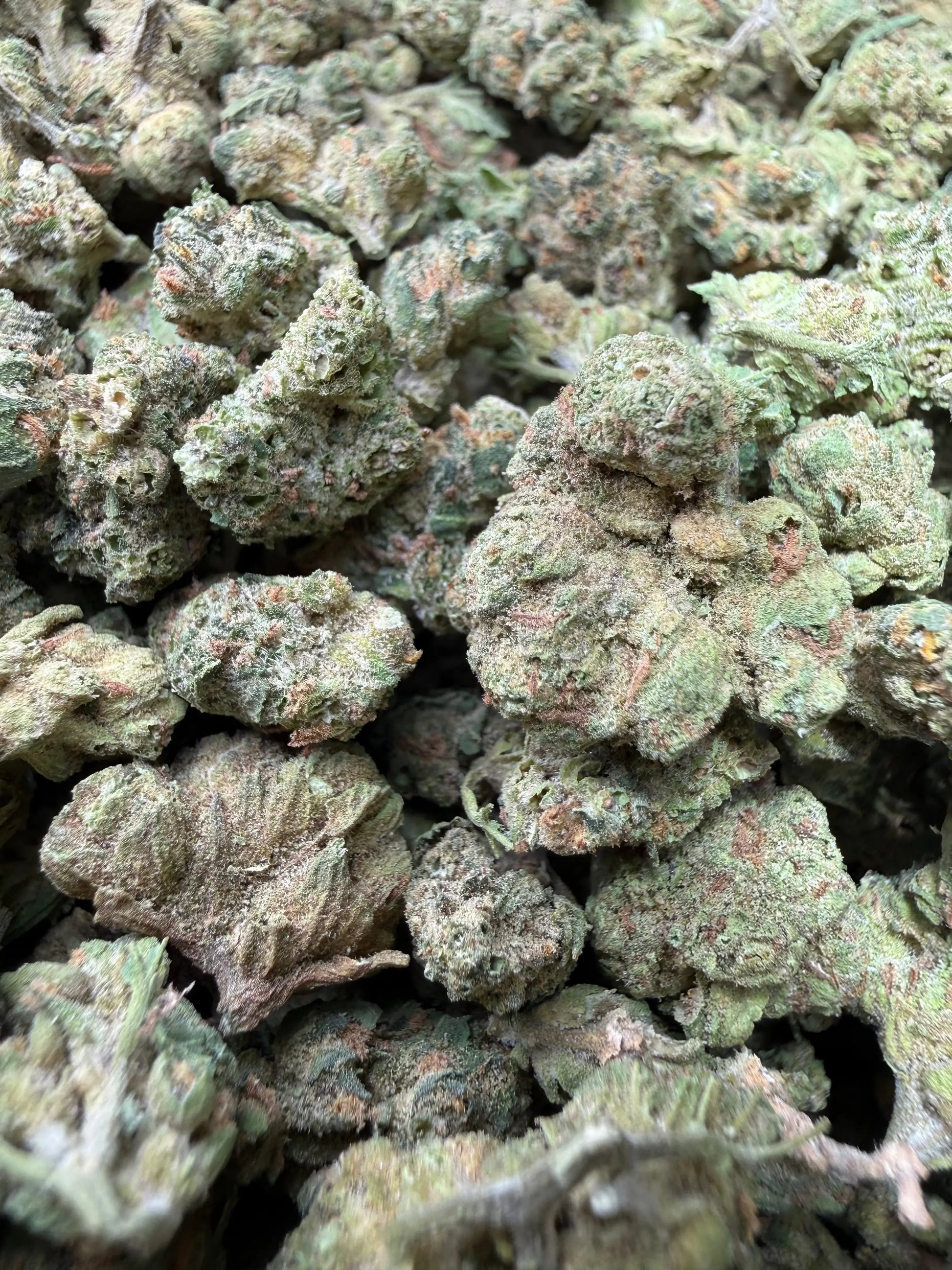 1 Pound - Banana Chocolope THCA Strain (Smalls) Frisco Labs