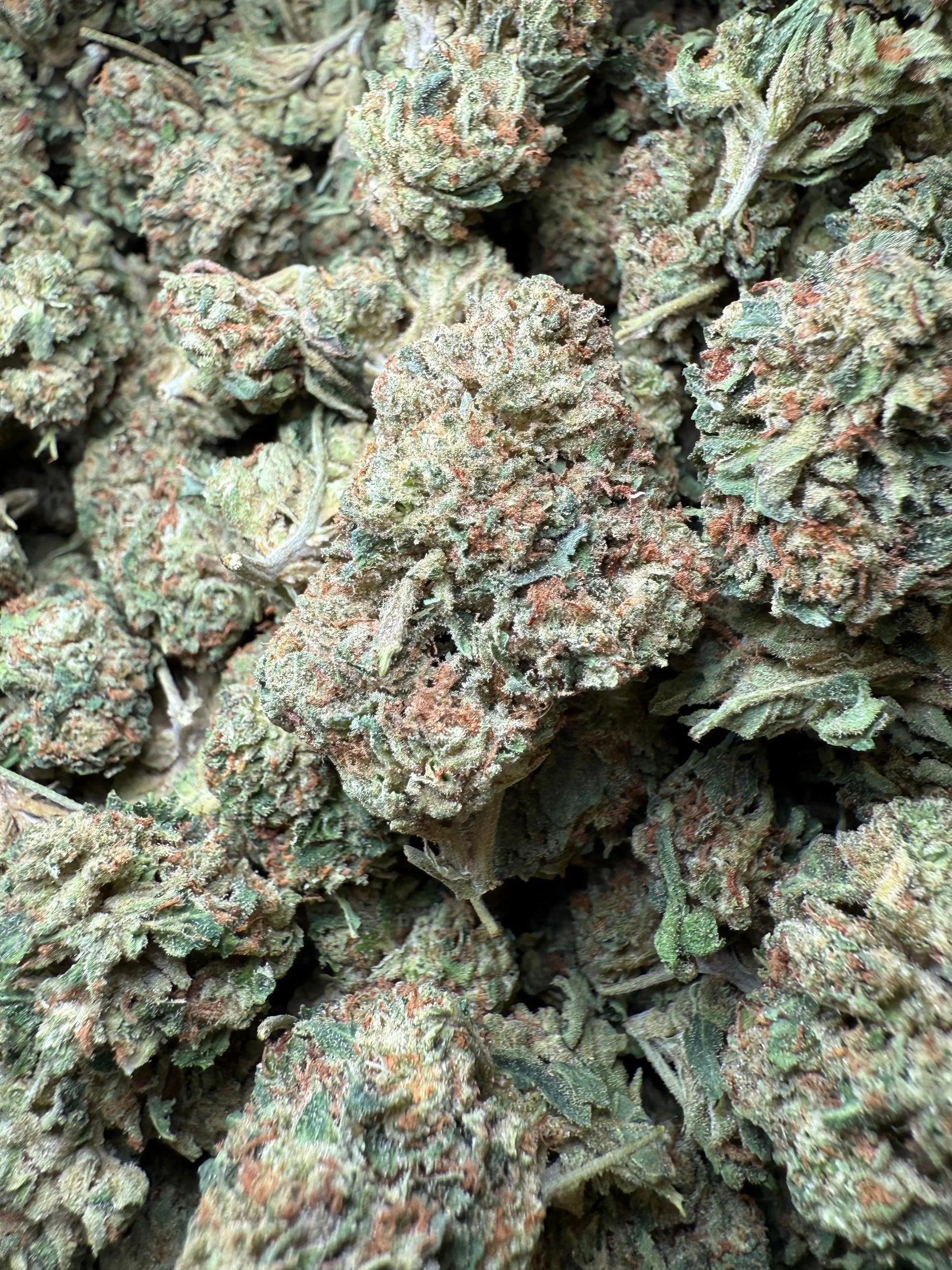 1 Pound Biscotti Sundae THCA FL Fulfillment Center