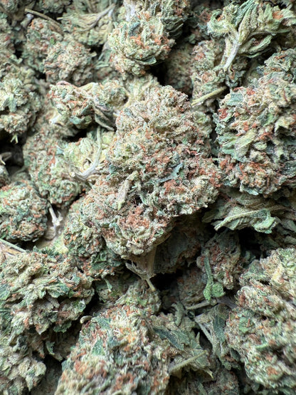 1 Pound Biscotti Sundae THCA FL Fulfillment Center