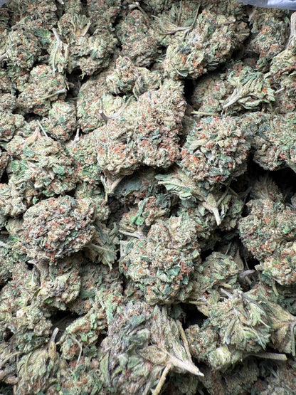 1 Pound Biscotti Sundae THCA FL Fulfillment Center