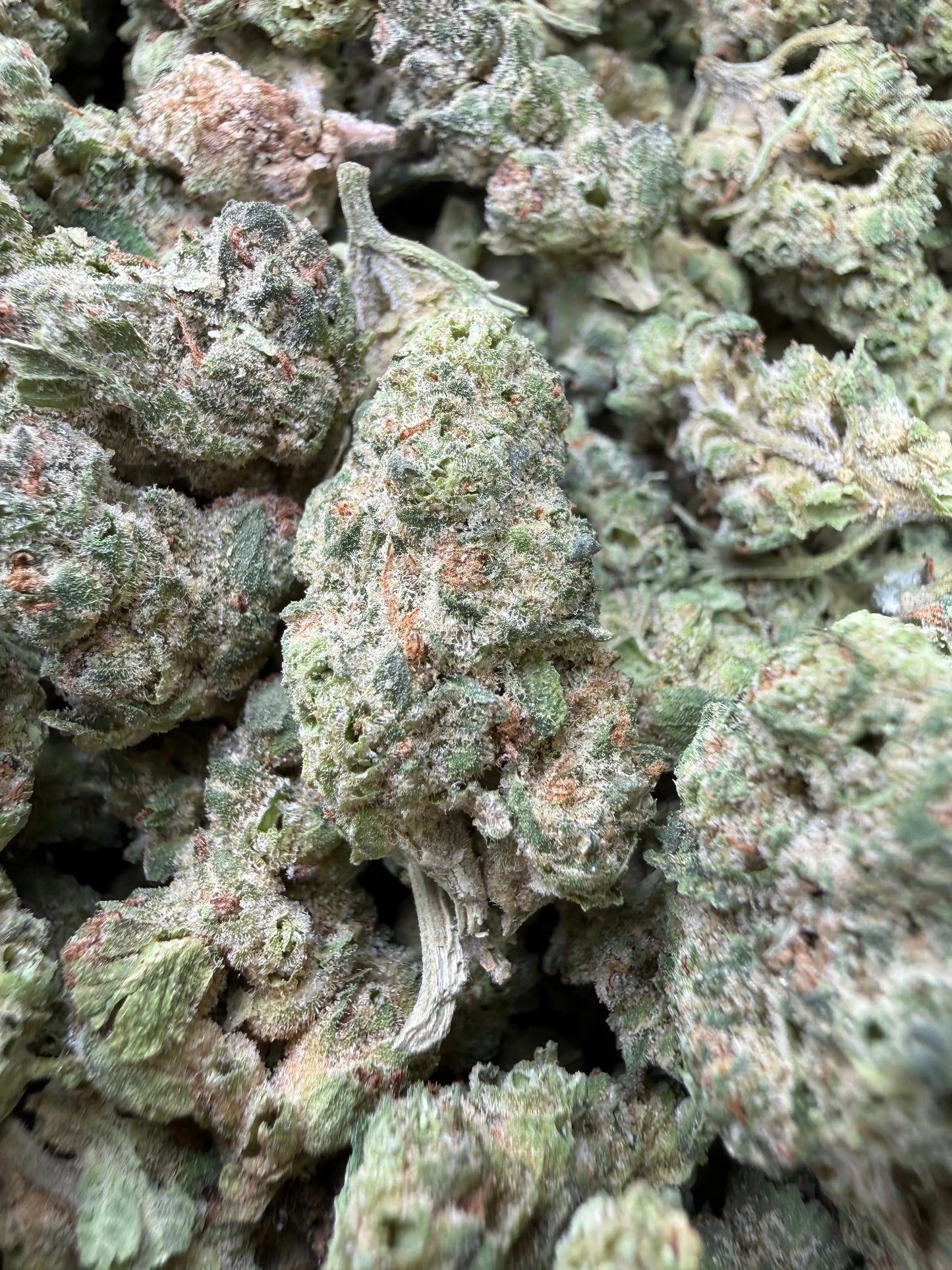 1 Pound - Black Lime Reserve THCA Strain (Smalls) Frisco Labs