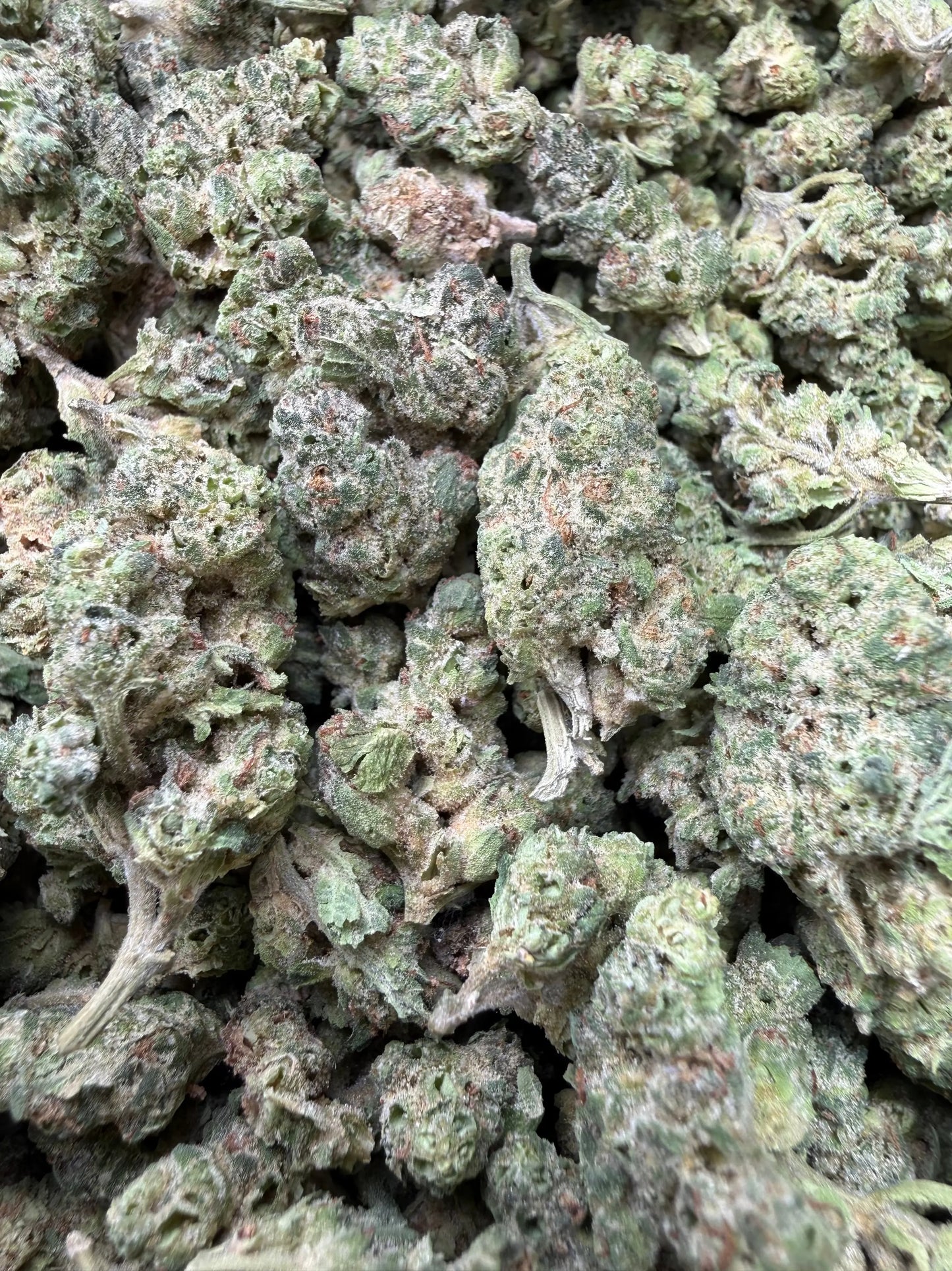 1 Pound - Black Lime Reserve THCA Strain (Smalls) Frisco Labs