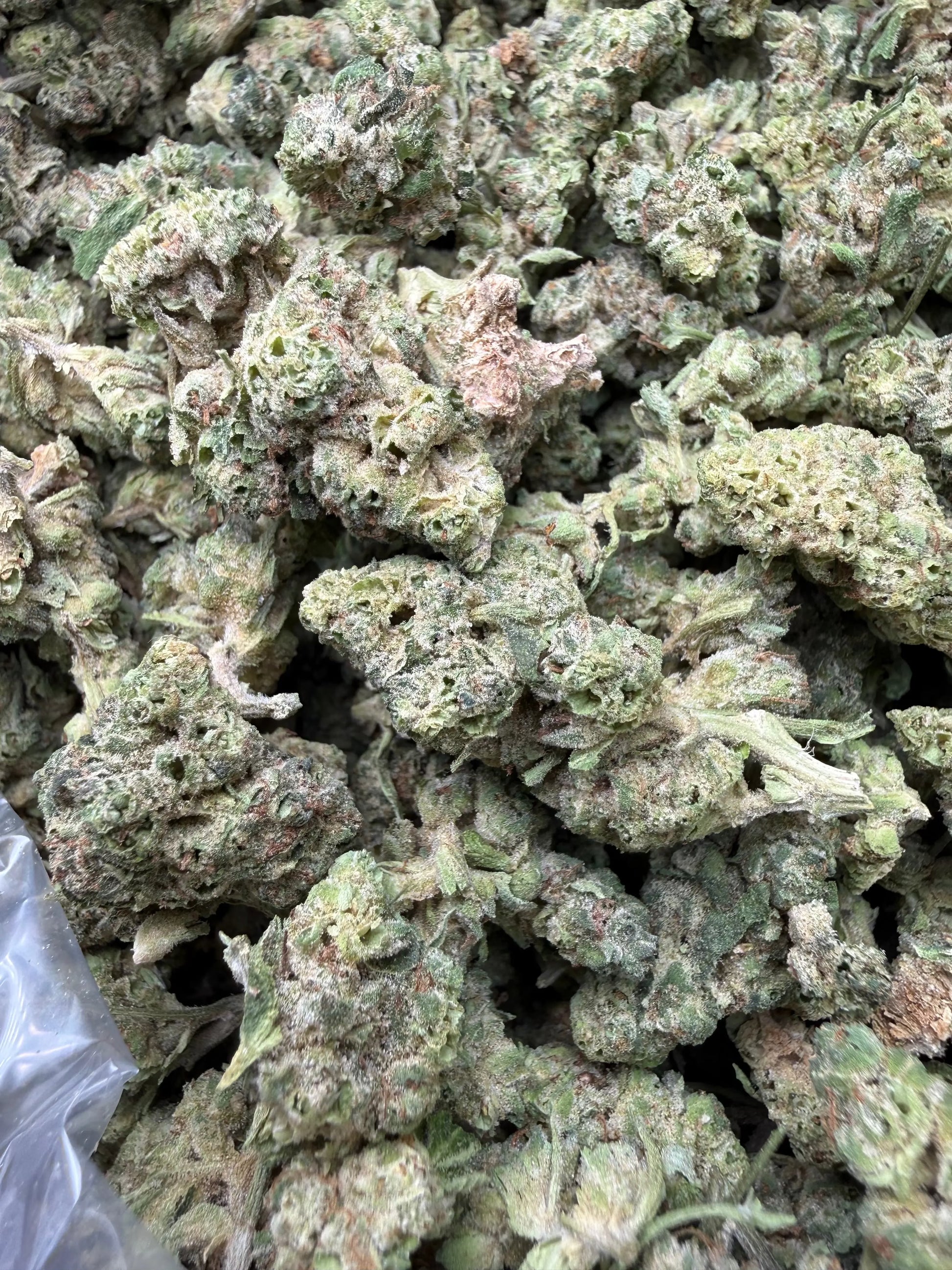 1 Pound - Black Lime Reserve THCA Strain (Smalls) Frisco Labs