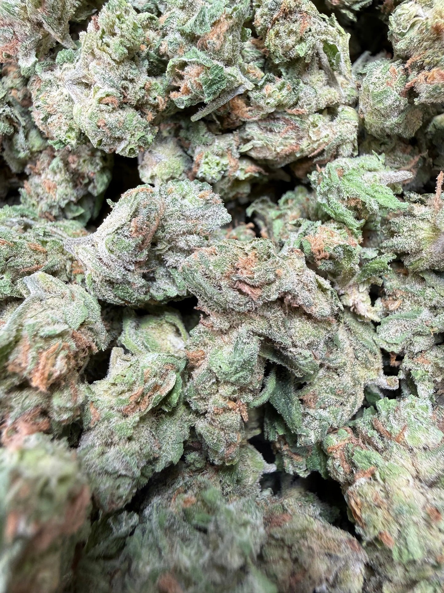 1 Pound -  Blue Dream THCA Strain Frisco Labs