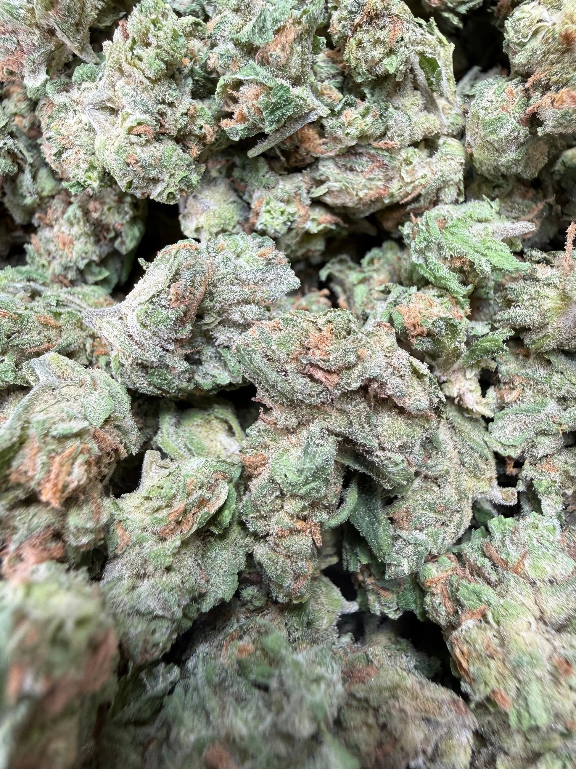 1 Pound -  Blue Dream THCA Strain Frisco Labs