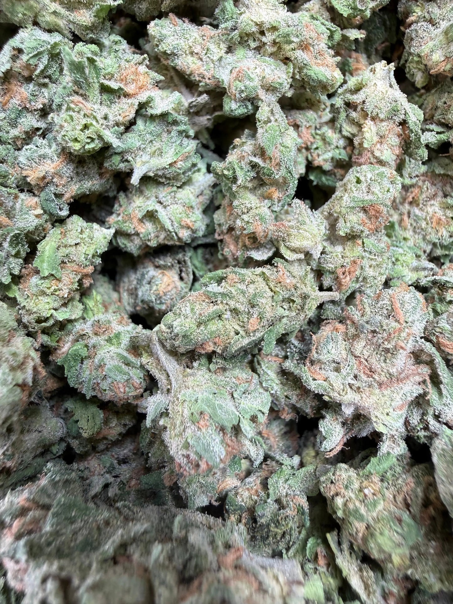 1 Pound -  Blue Dream THCA Strain Frisco Labs