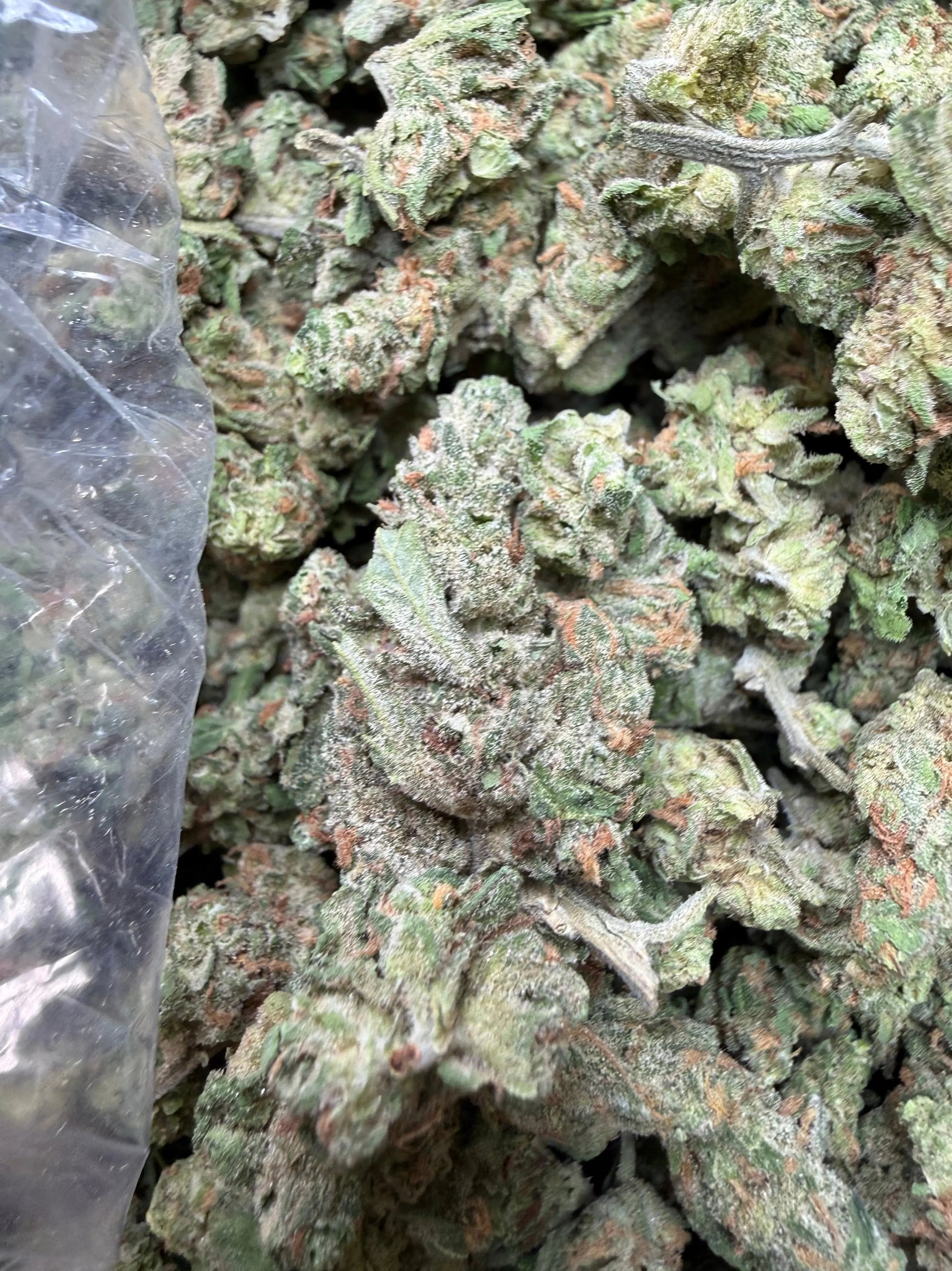1 Pound -  Blue Dream THCA Strain Frisco Labs