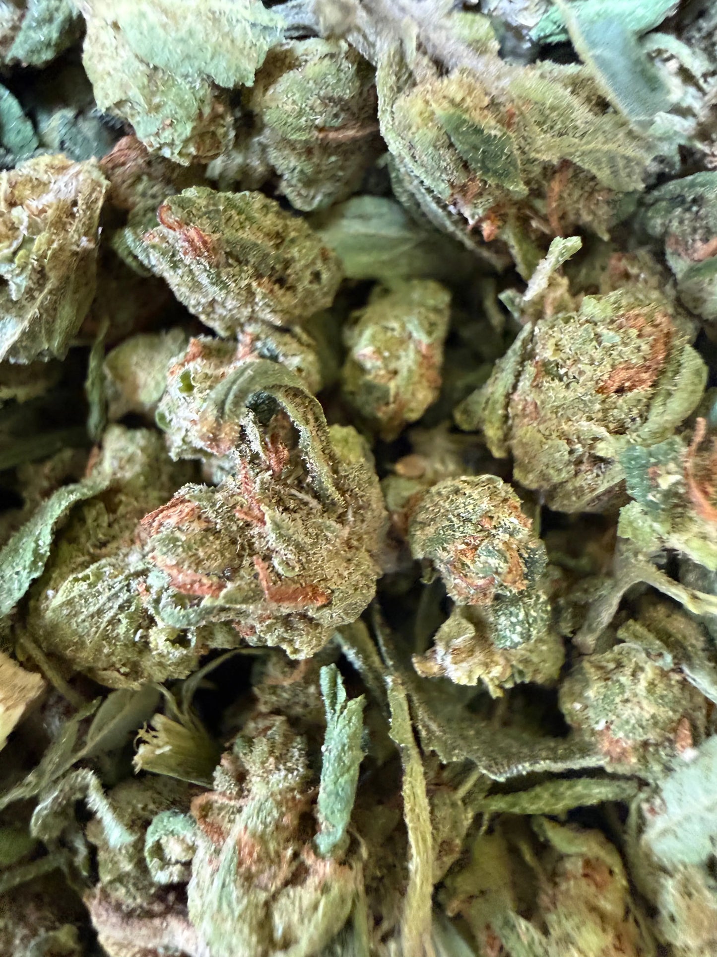 1 Pound -  Blue Dream THCA Strain (Micro) Frisco Labs