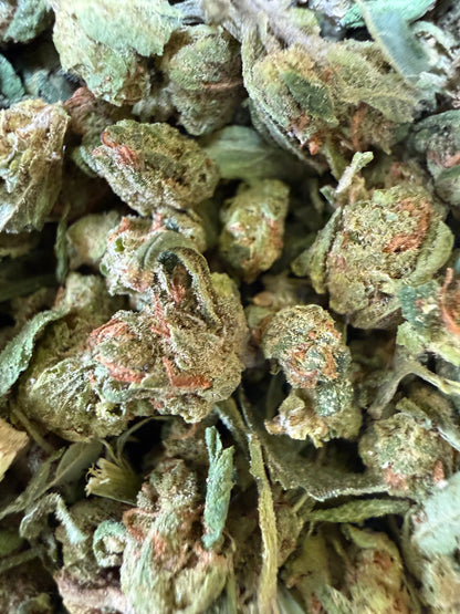 1 Pound -  Blue Dream THCA Strain (Micro) Frisco Labs