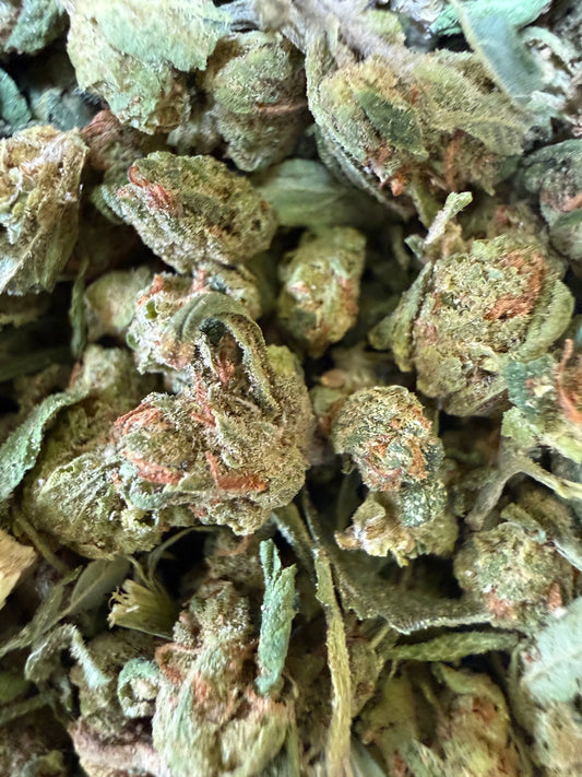 1 Pound -  Blue Dream THCA Strain (Micro) Frisco Labs