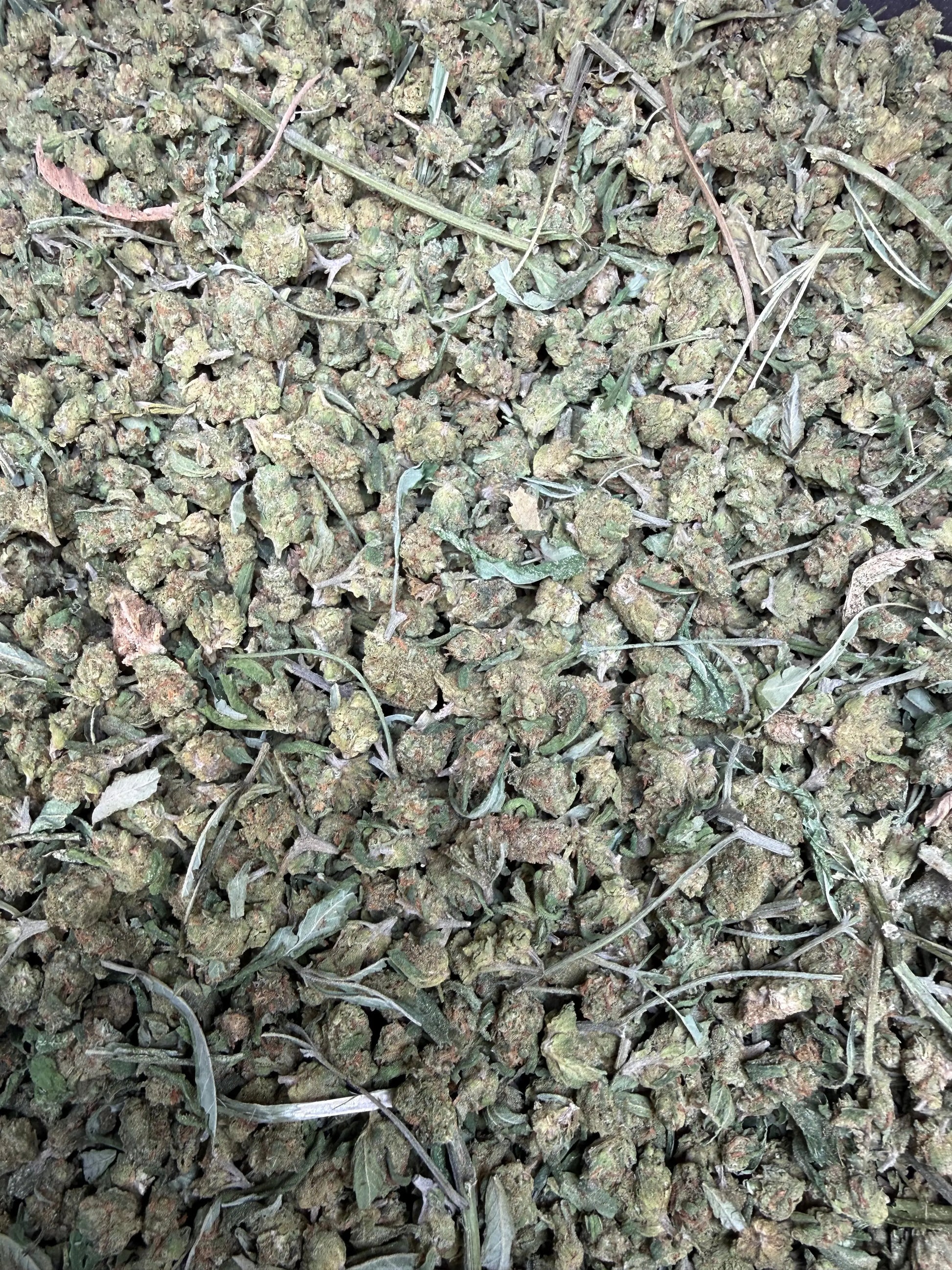 1 Pound -  Blue Dream THCA Strain (Micro) Frisco Labs