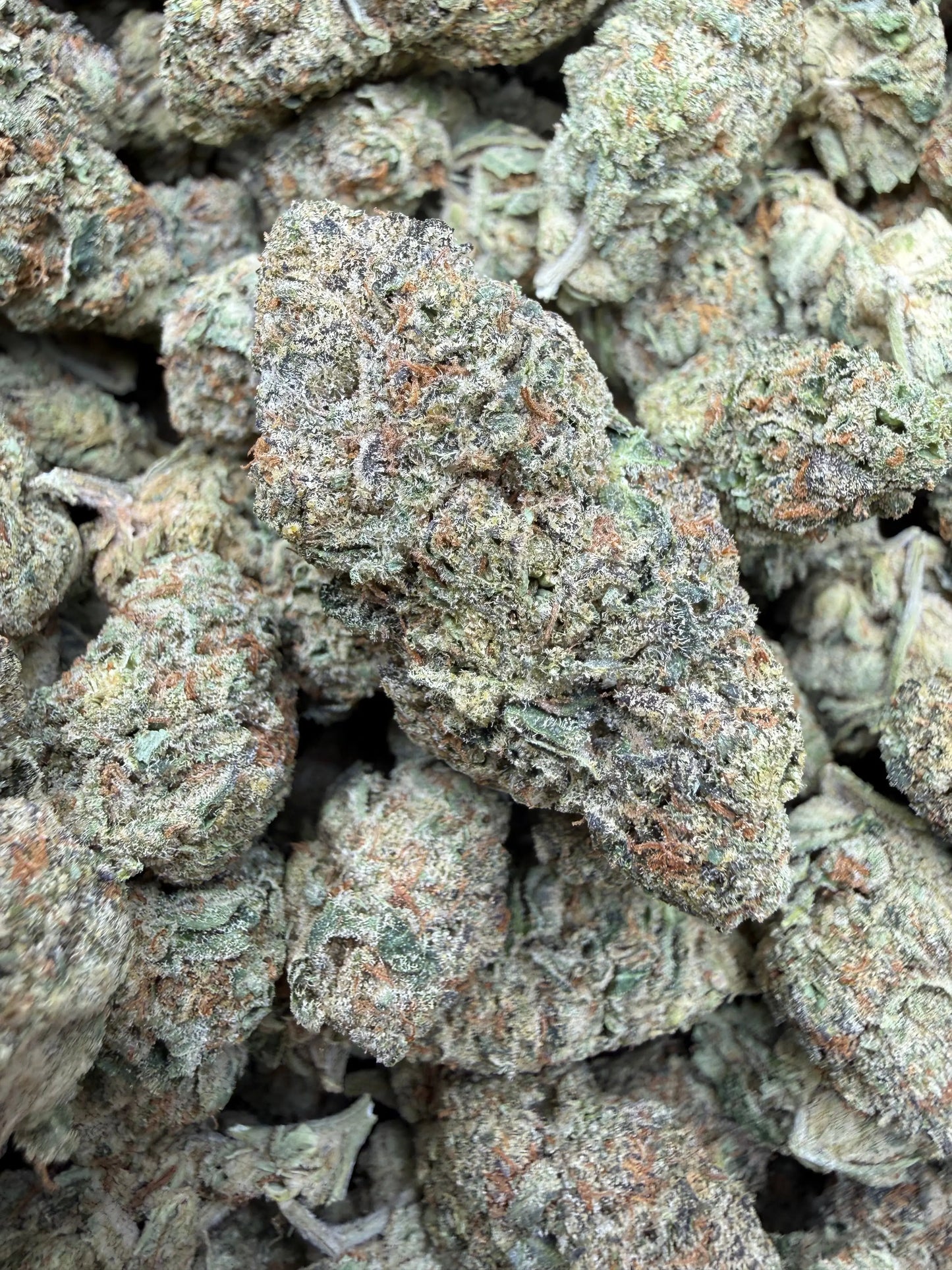 1 Pound - Blue Slurpee THCA Strain Frisco Labs