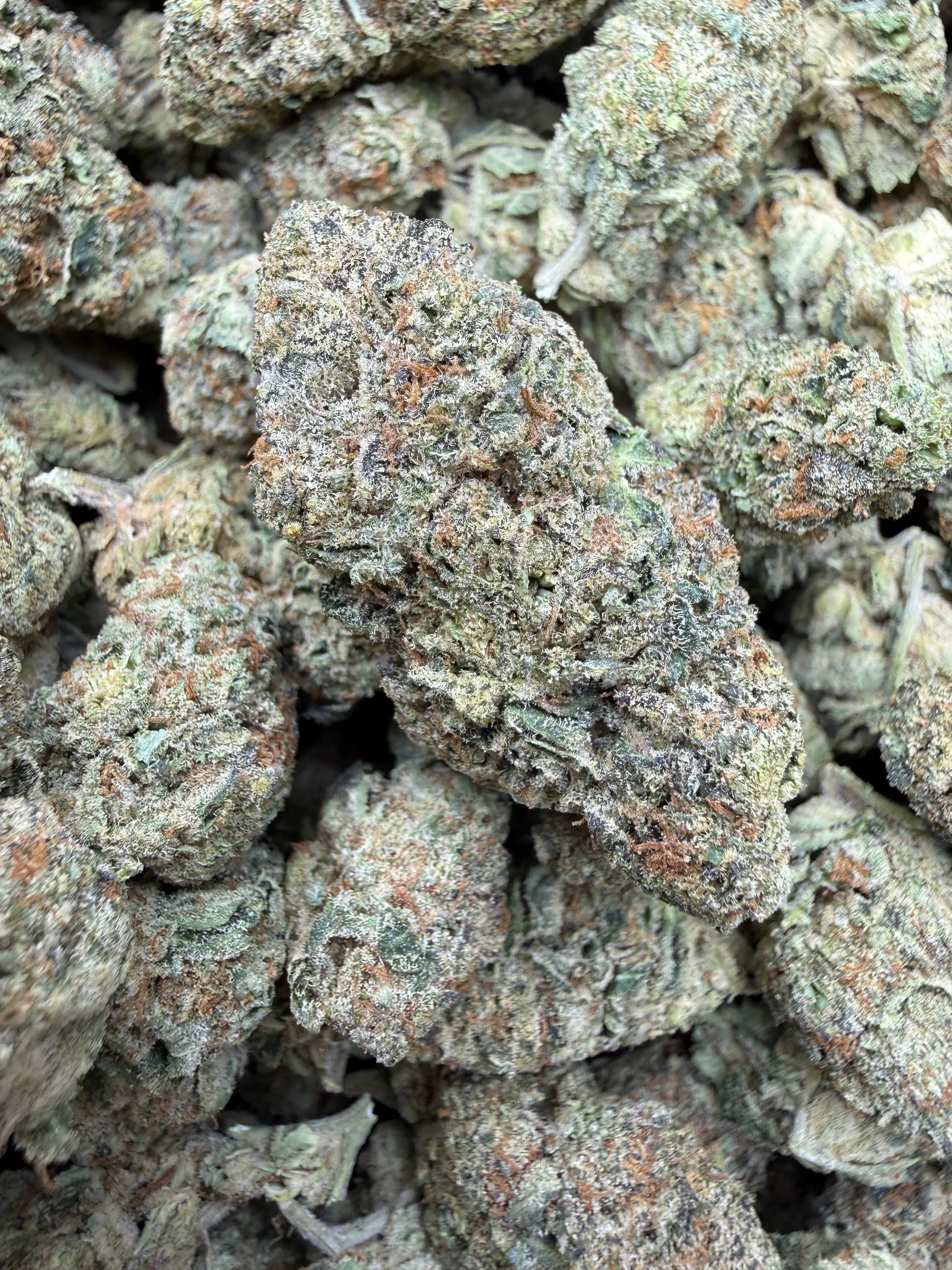 1 Pound - Blue Slurpee THCA Strain Frisco Labs