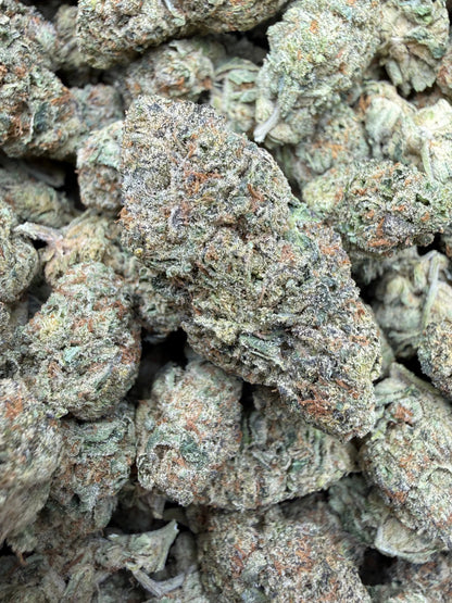 1 Pound - Blue Slurpee THCA Strain Frisco Labs