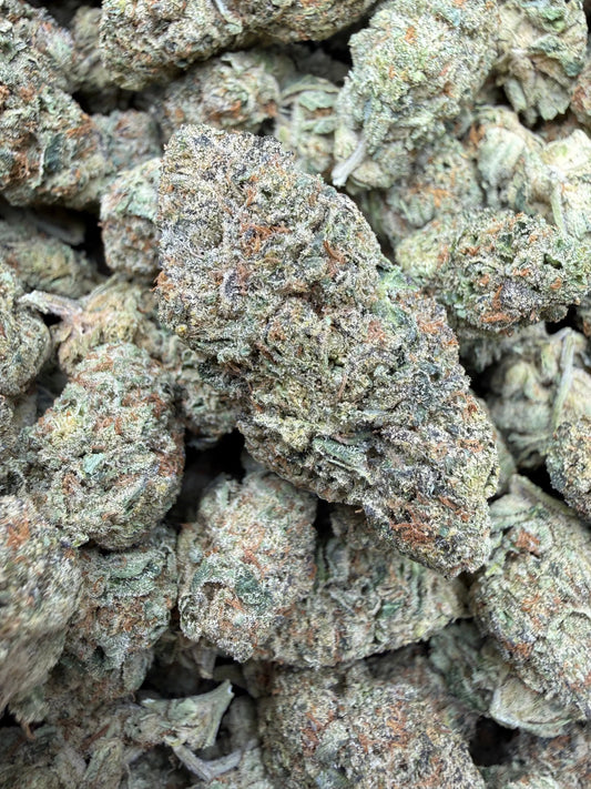 1 Pound - Blue Slurpee THCA Strain Frisco Labs