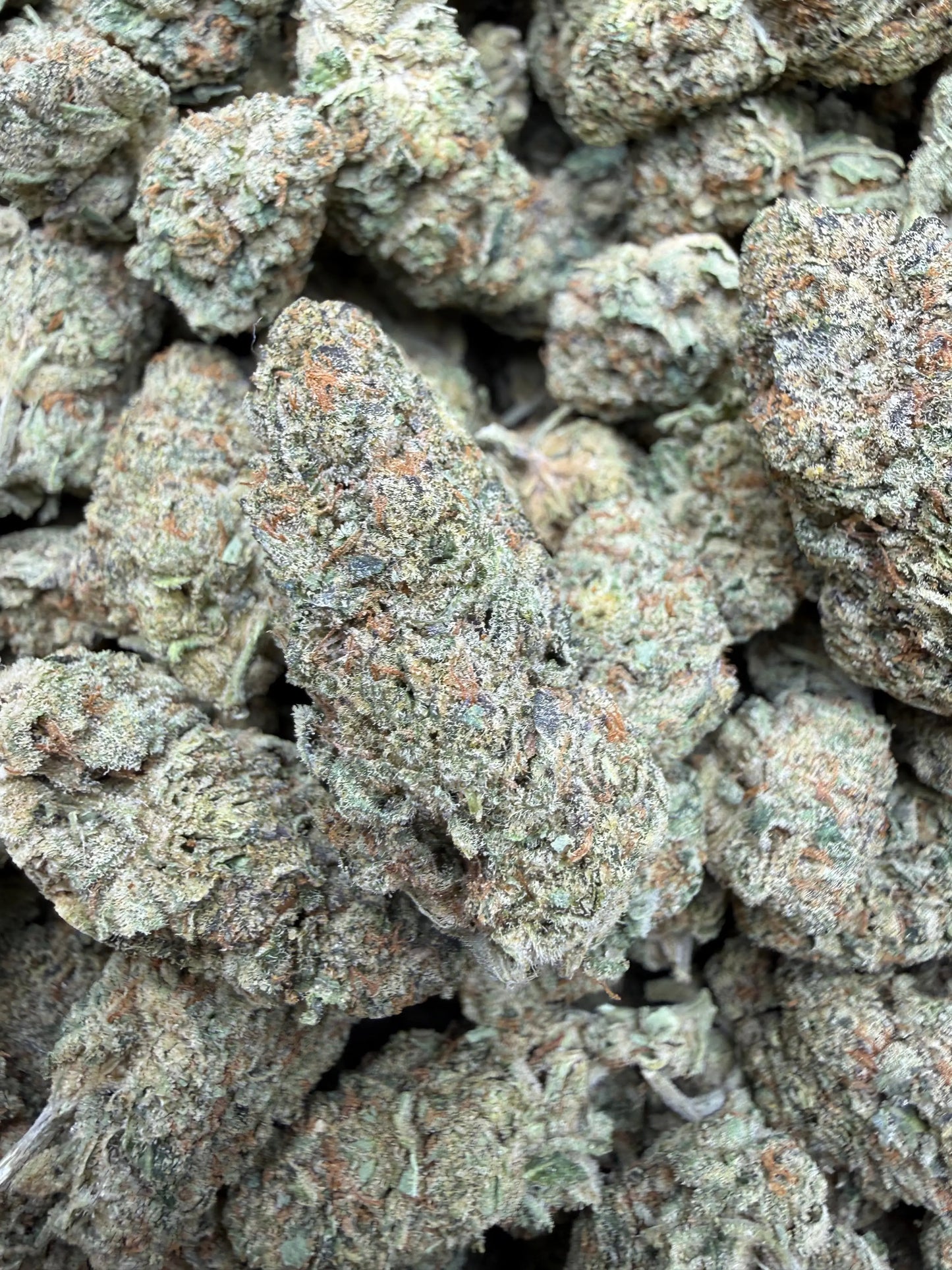 1 Pound - Blue Slurpee THCA Strain Frisco Labs