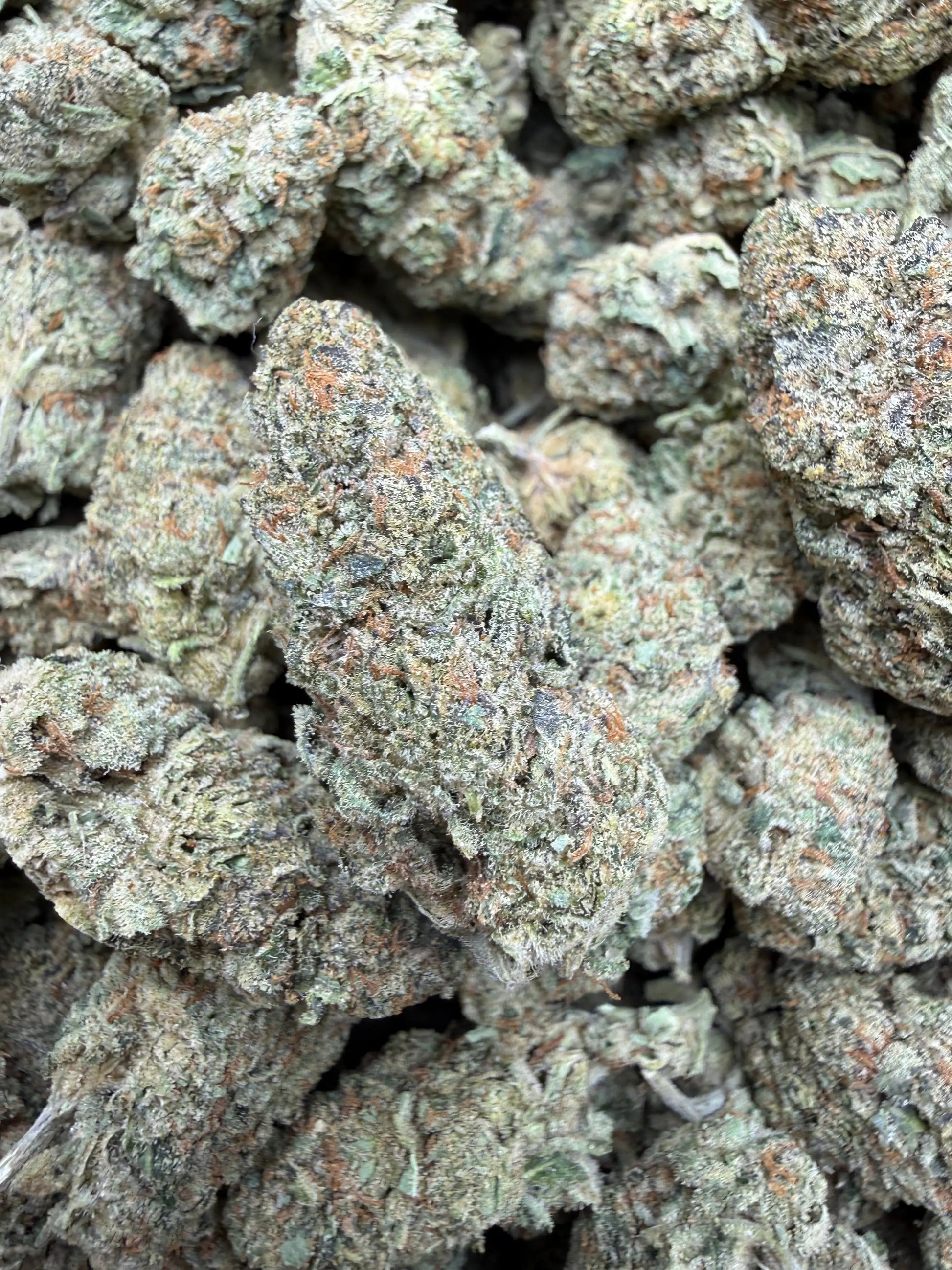 1 Pound - Blue Slurpee THCA Strain Frisco Labs