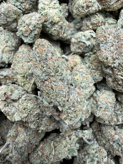 1 Pound - Blue Slurpee THCA Strain Frisco Labs