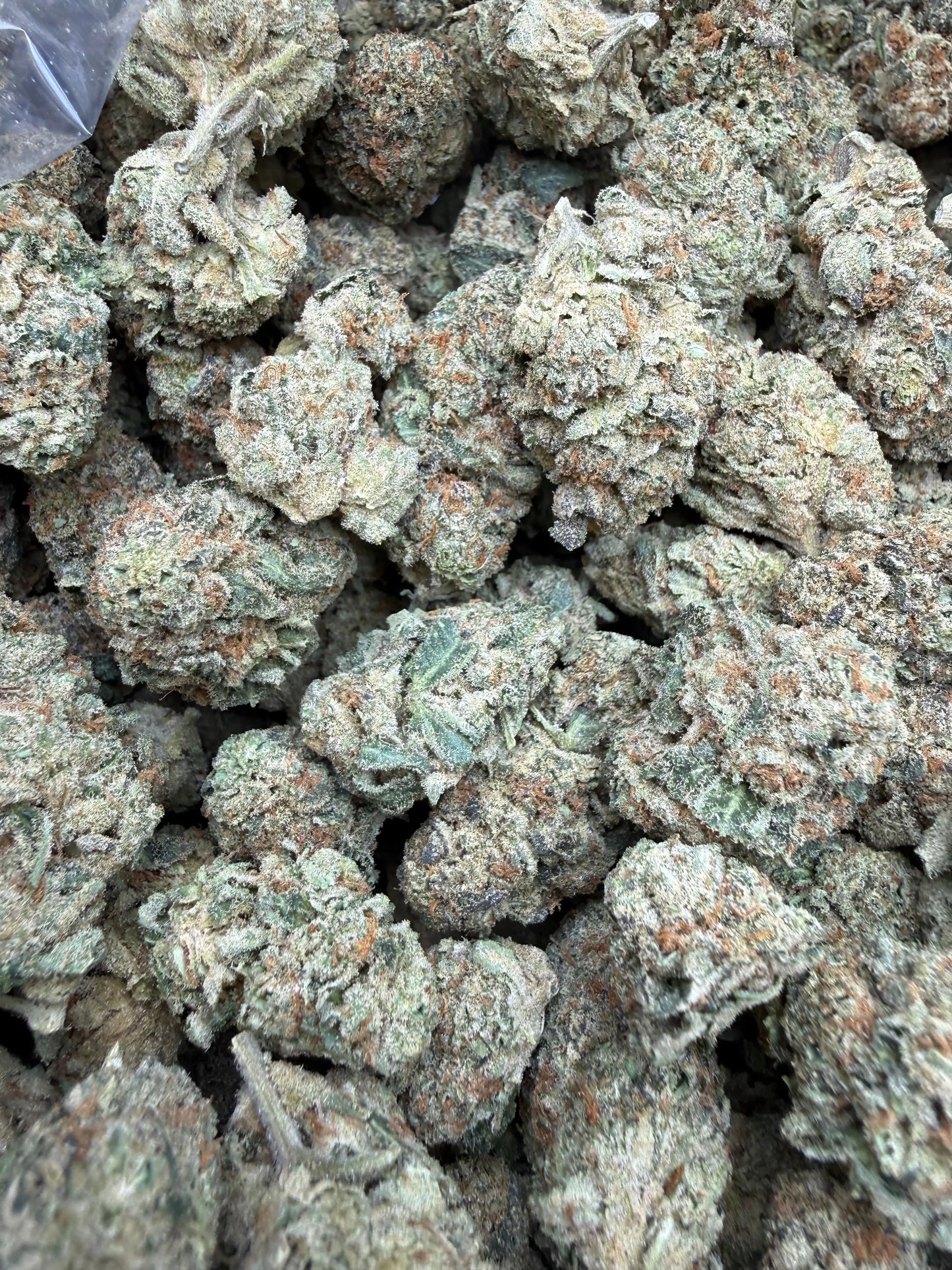 1 Pound - Blue Slurpee THCA Strain Frisco Labs