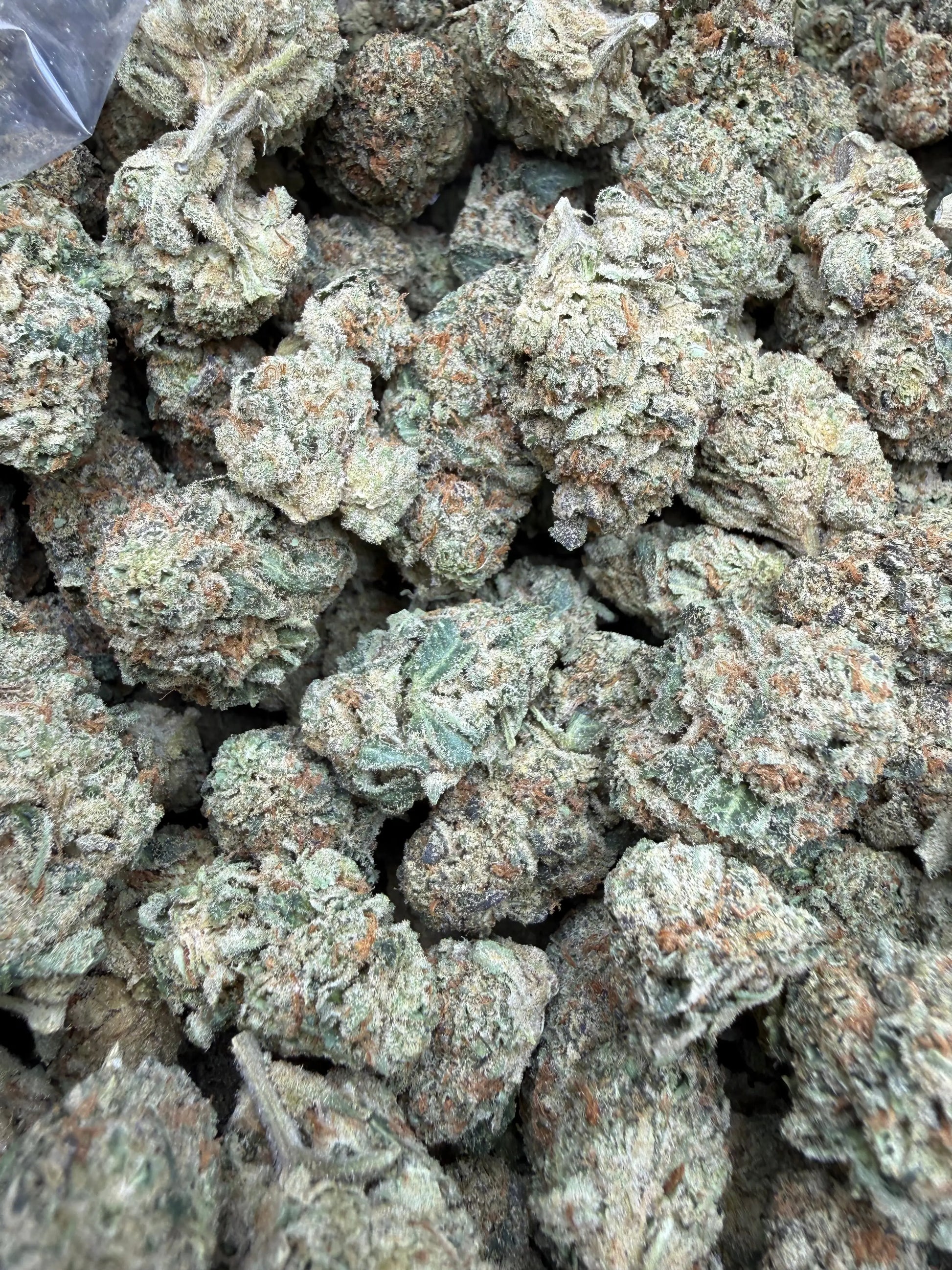 1 Pound - Blue Slurpee THCA Strain Frisco Labs