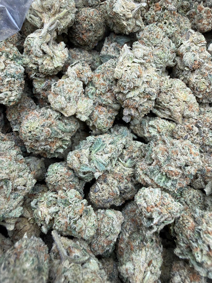 1 Pound - Blue Slurpee THCA Strain Frisco Labs