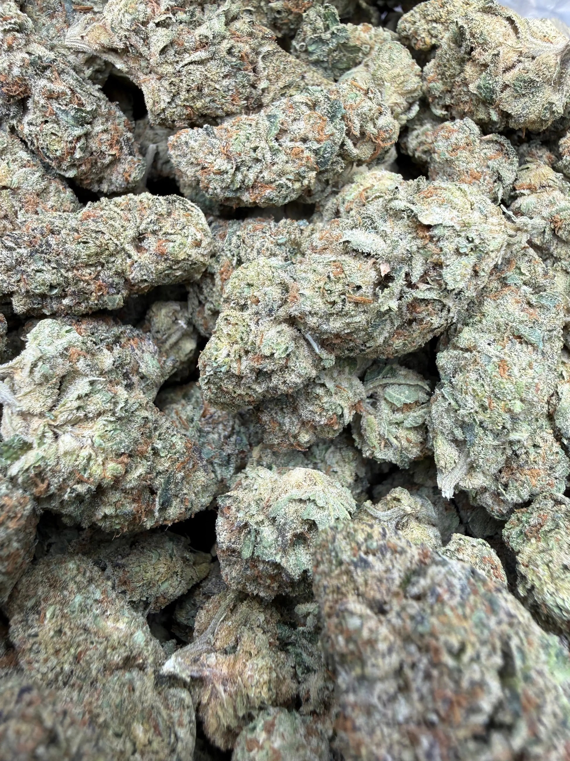 1 Pound - Blue Slurpee THCA Strain Frisco Labs