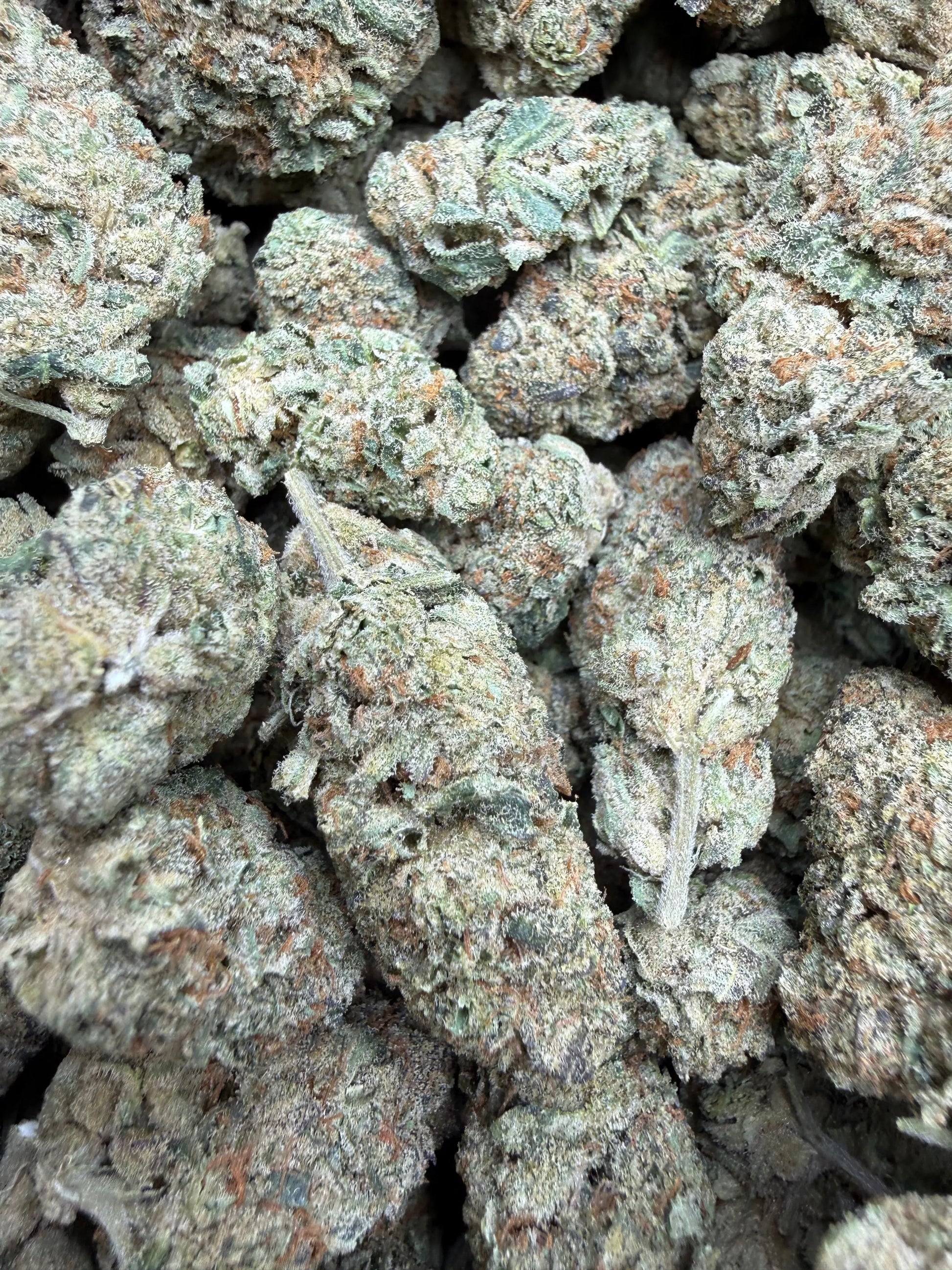 1 Pound - Blue Slurpee THCA Strain Frisco Labs