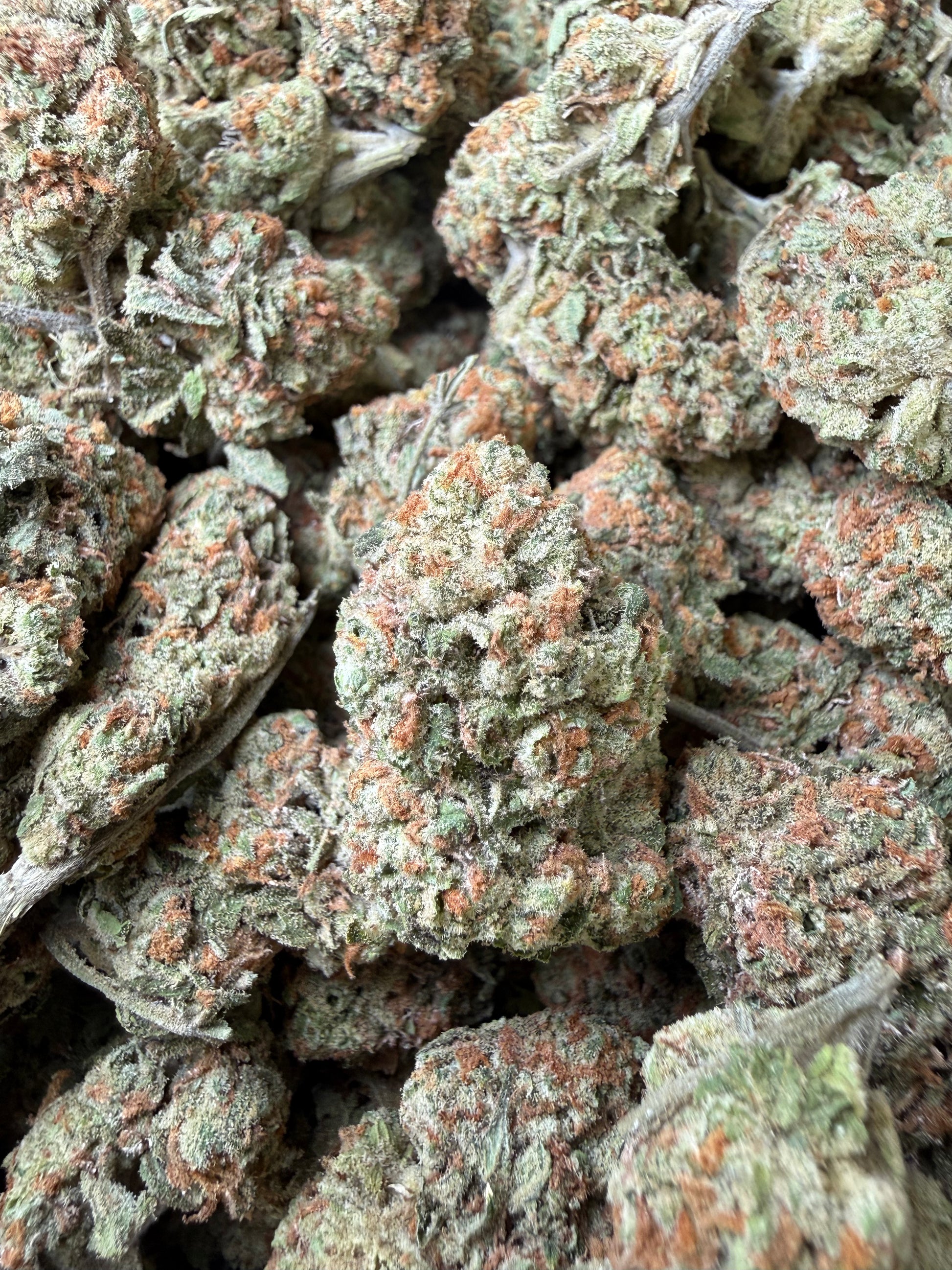 1 Pound - Blueberry Pancakes THCA Strain Frisco Labs