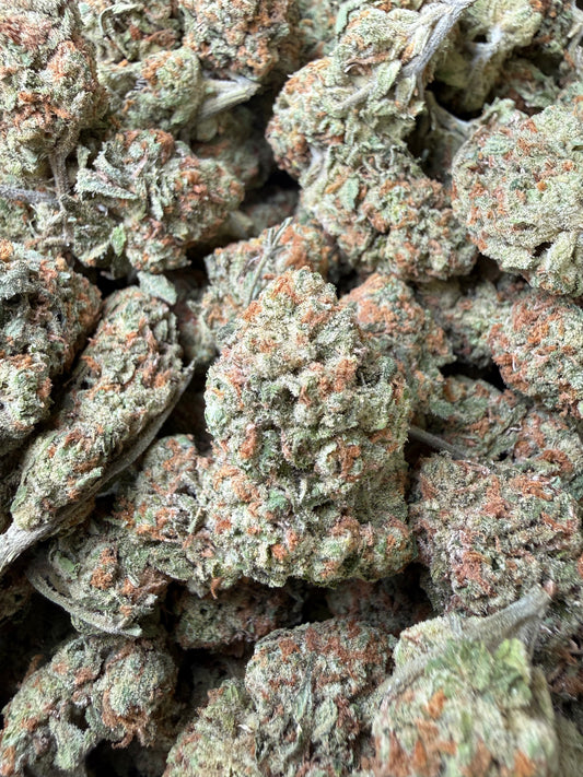 1 Pound - Blueberry Pancakes THCA Strain Frisco Labs