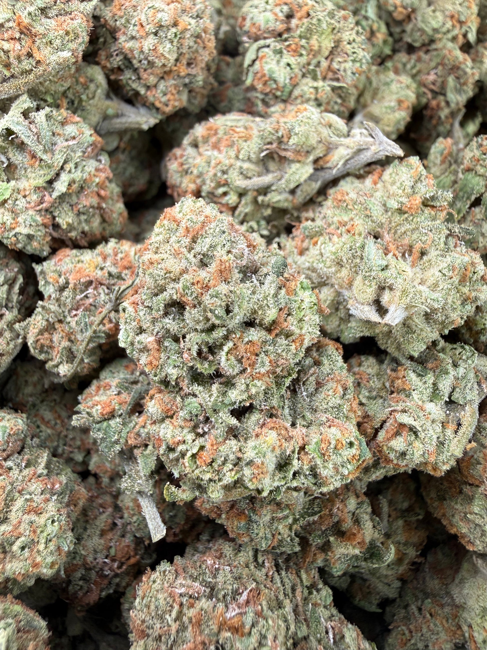 1 Pound - Blueberry Pancakes THCA Strain Frisco Labs