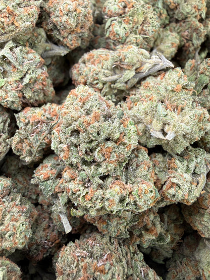 1 Pound - Blueberry Pancakes THCA Strain Frisco Labs