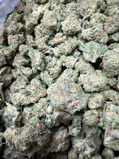1 Pound - Blueberry Pancakes THCA Strain (Smalls) Frisco Labs