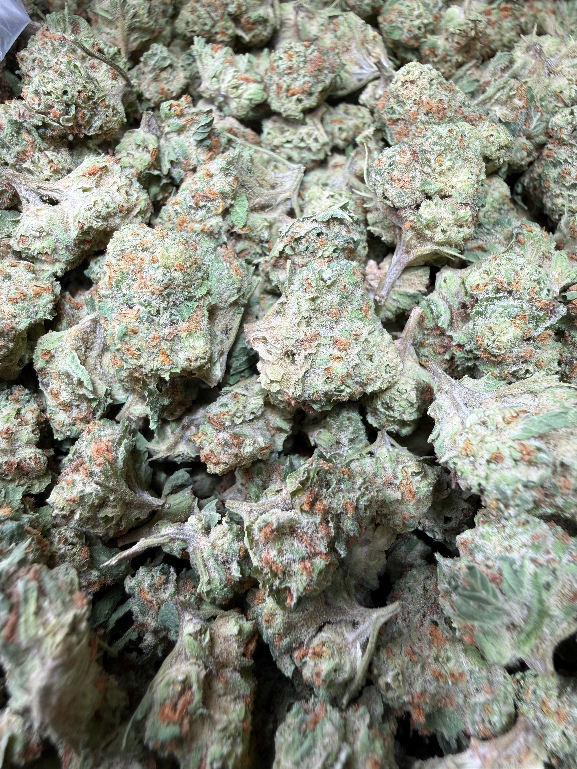 1 Pound - Blueberry Pancakes THCA Strain (Smalls) Frisco Labs