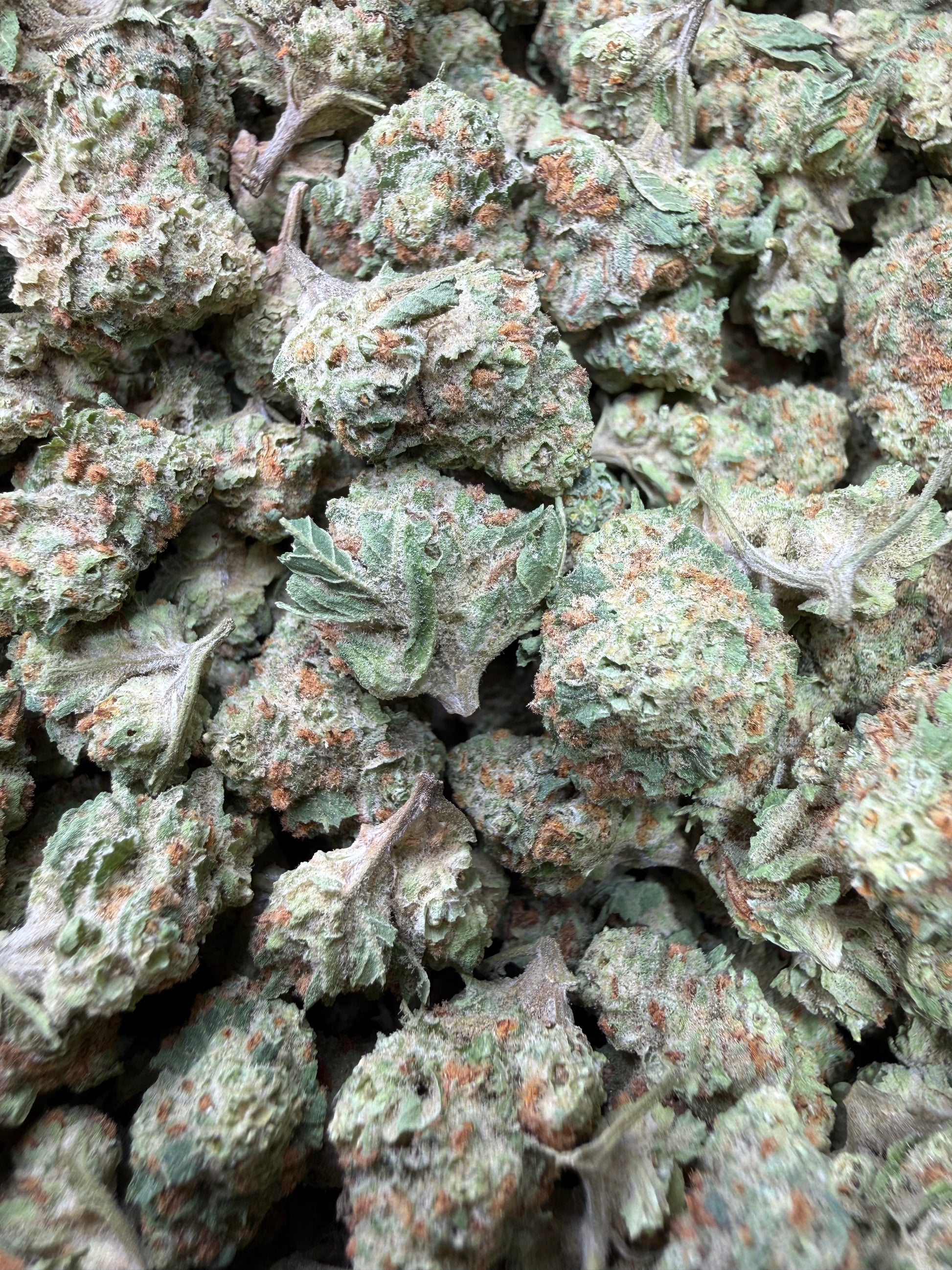 1 Pound - Blueberry Pancakes THCA Strain (Smalls) Frisco Labs