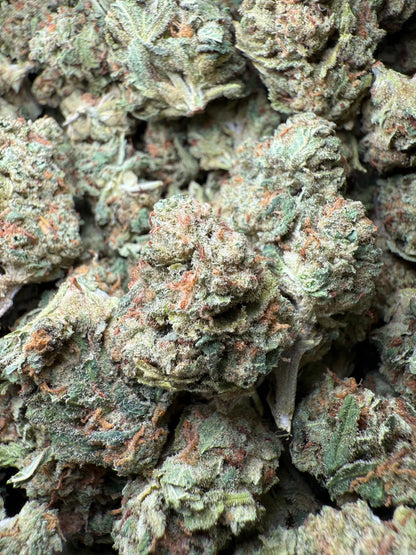 1 Pound Bubble Yum THCA FL Fulfillment Center