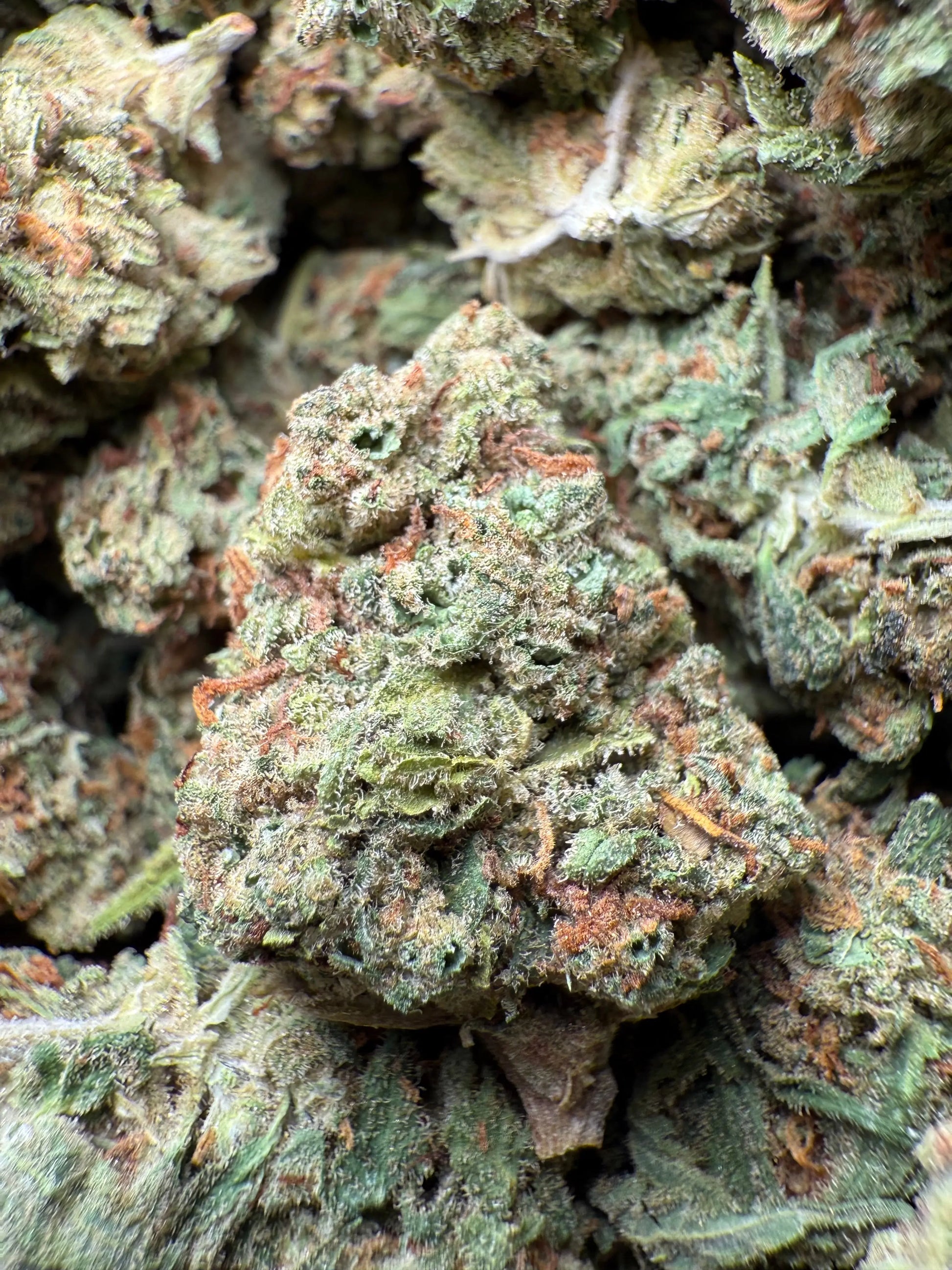 1 Pound Bubble Yum THCA FL Fulfillment Center