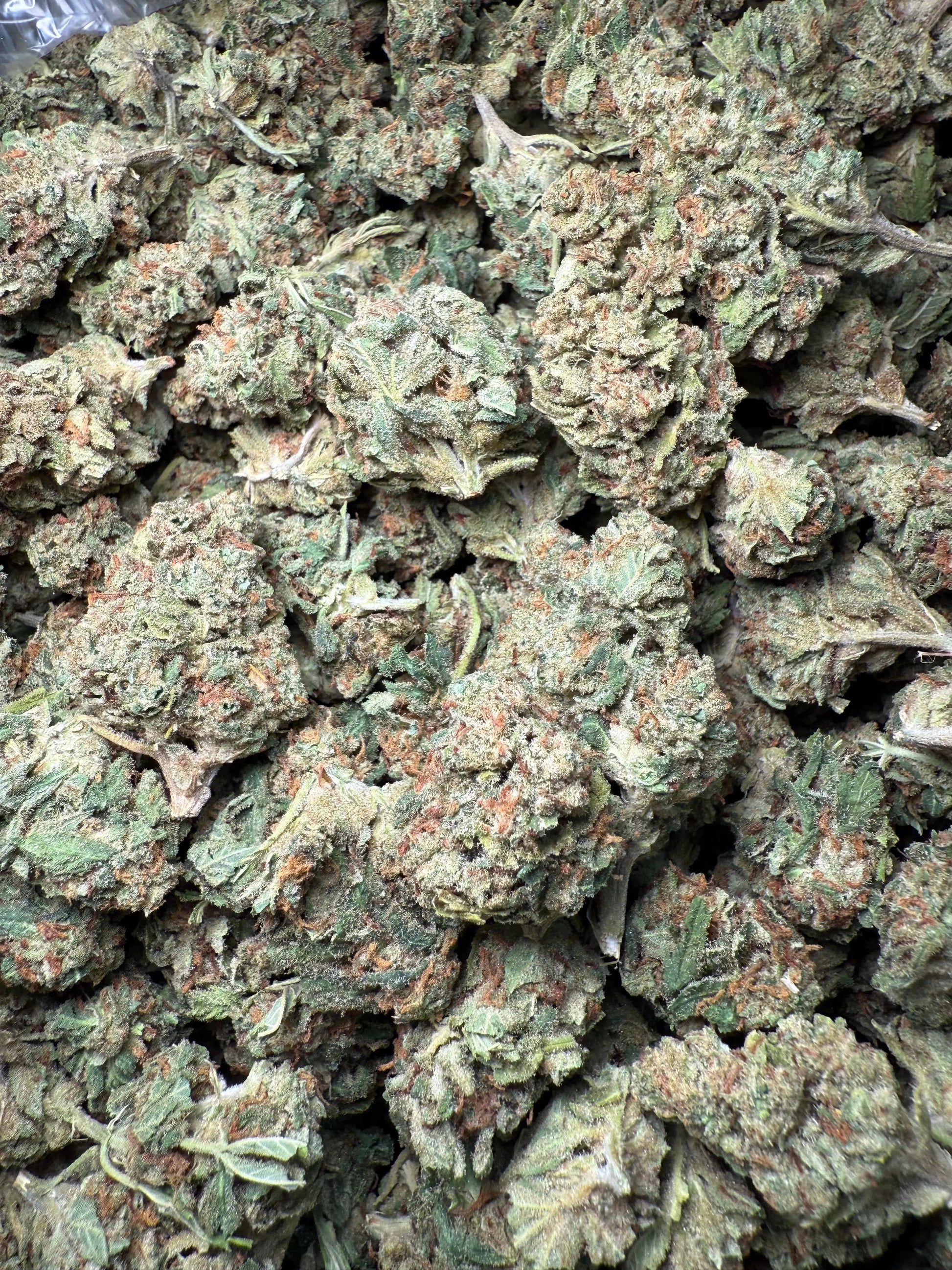 1 Pound Bubble Yum THCA FL Fulfillment Center