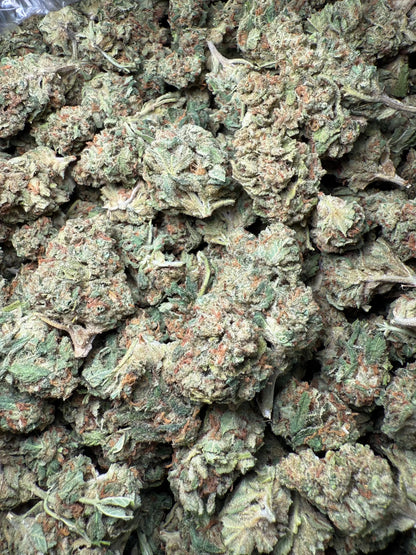 1 Pound Bubble Yum THCA FL Fulfillment Center
