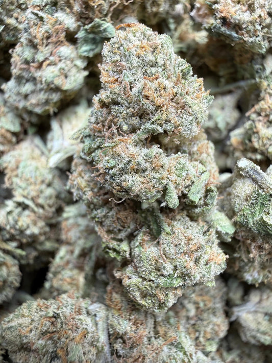 1 Pound Bubble Yum THCA FL Fulfillment Center